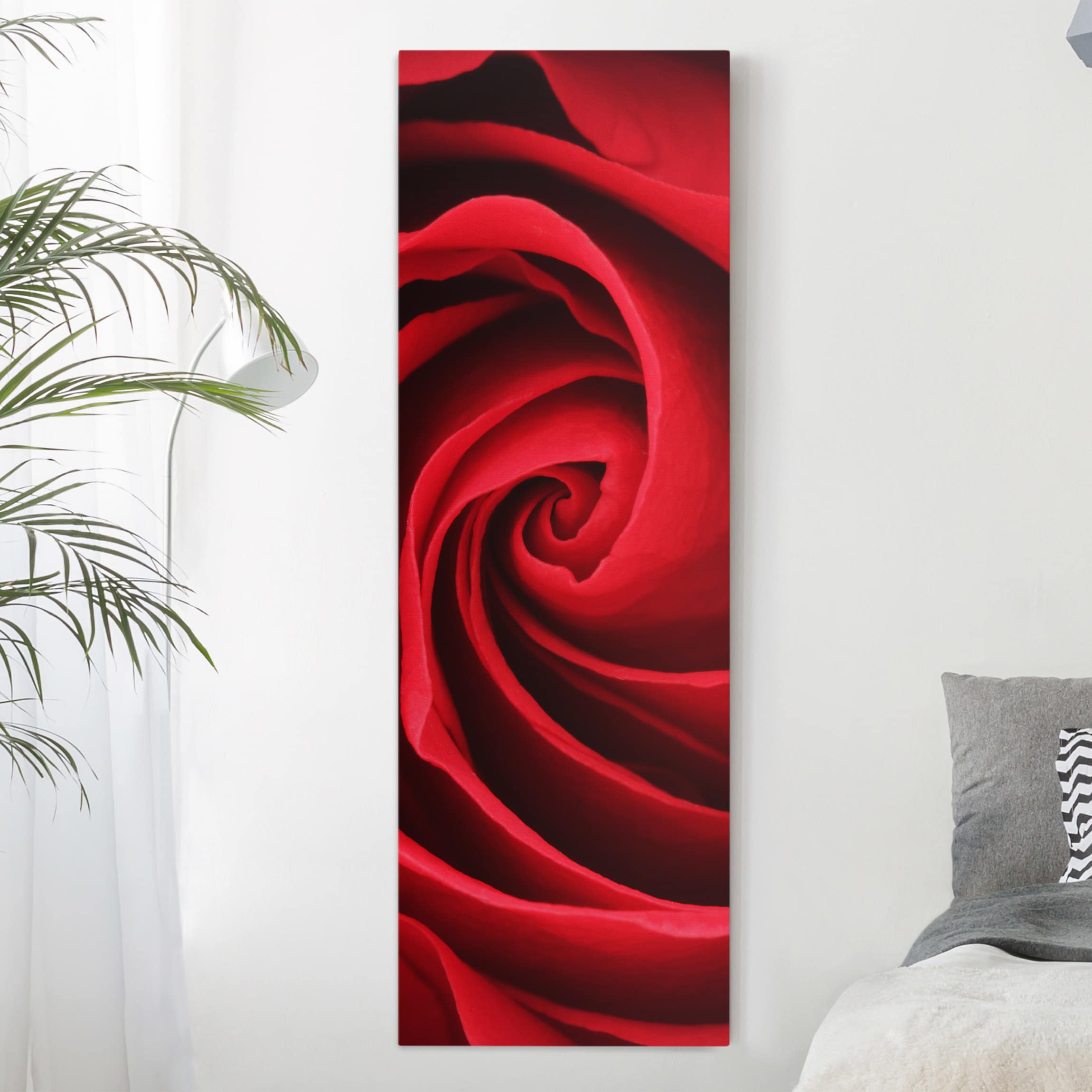 Leinwandbild Blumen Red Rose Blossom