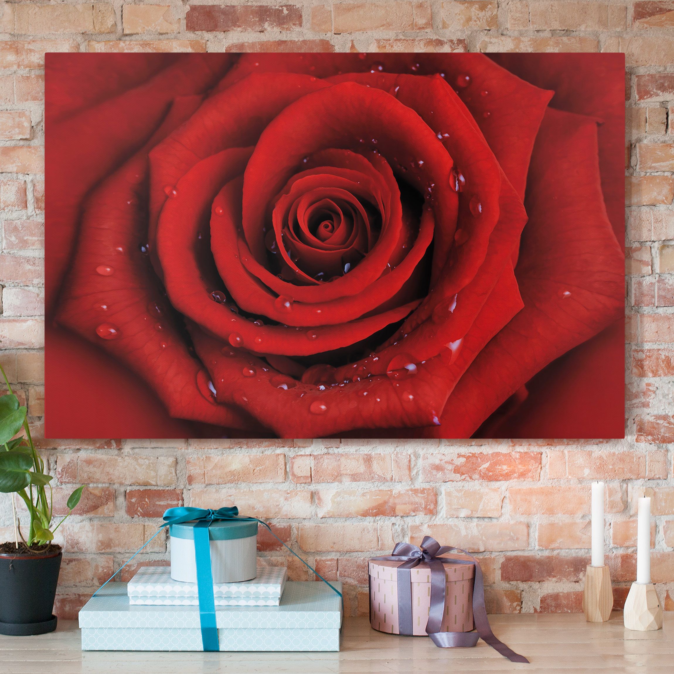 Leinwandbild Blumen Rote Rose mit Wassertropfen