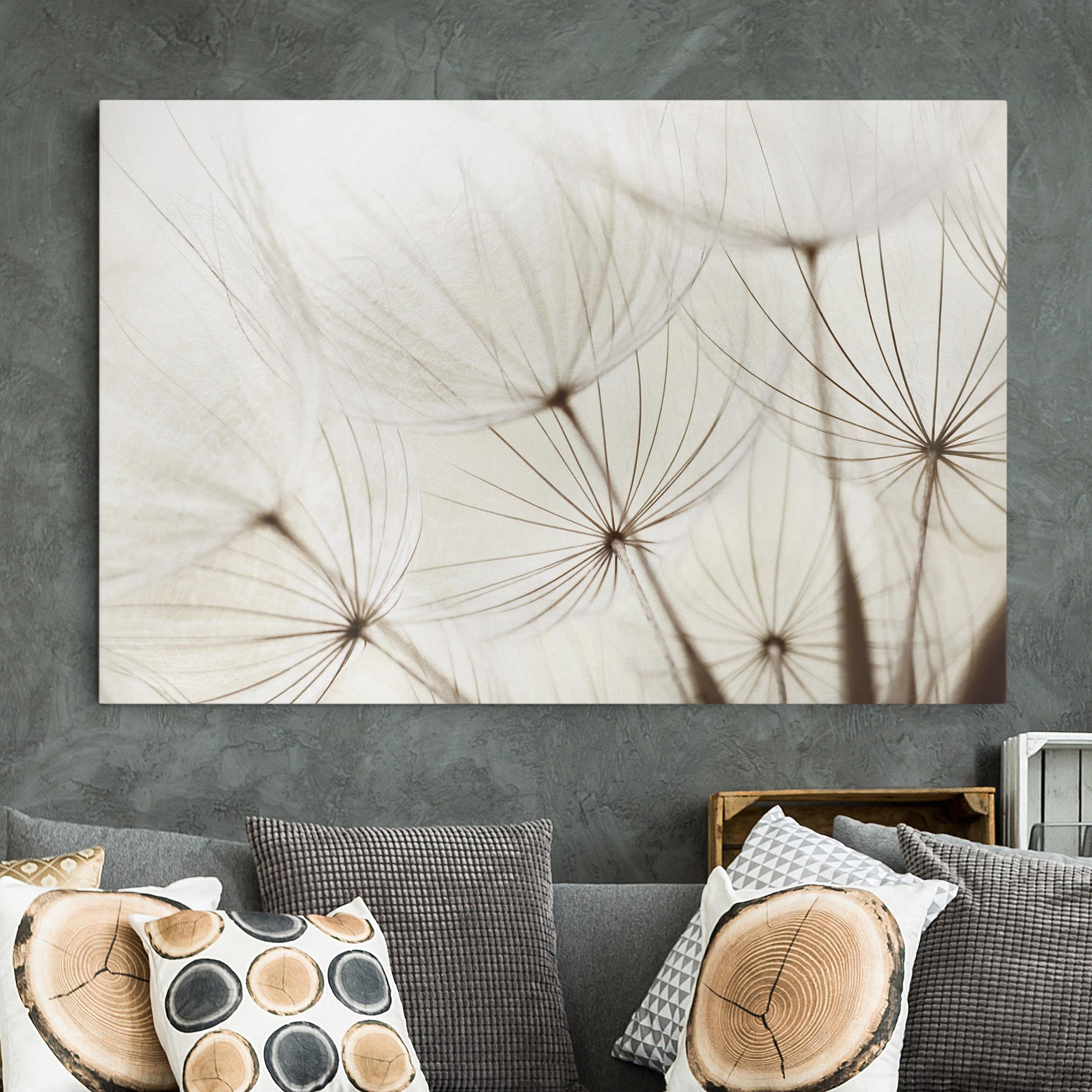 Leinwandbild Blumen Sanfte Gräser