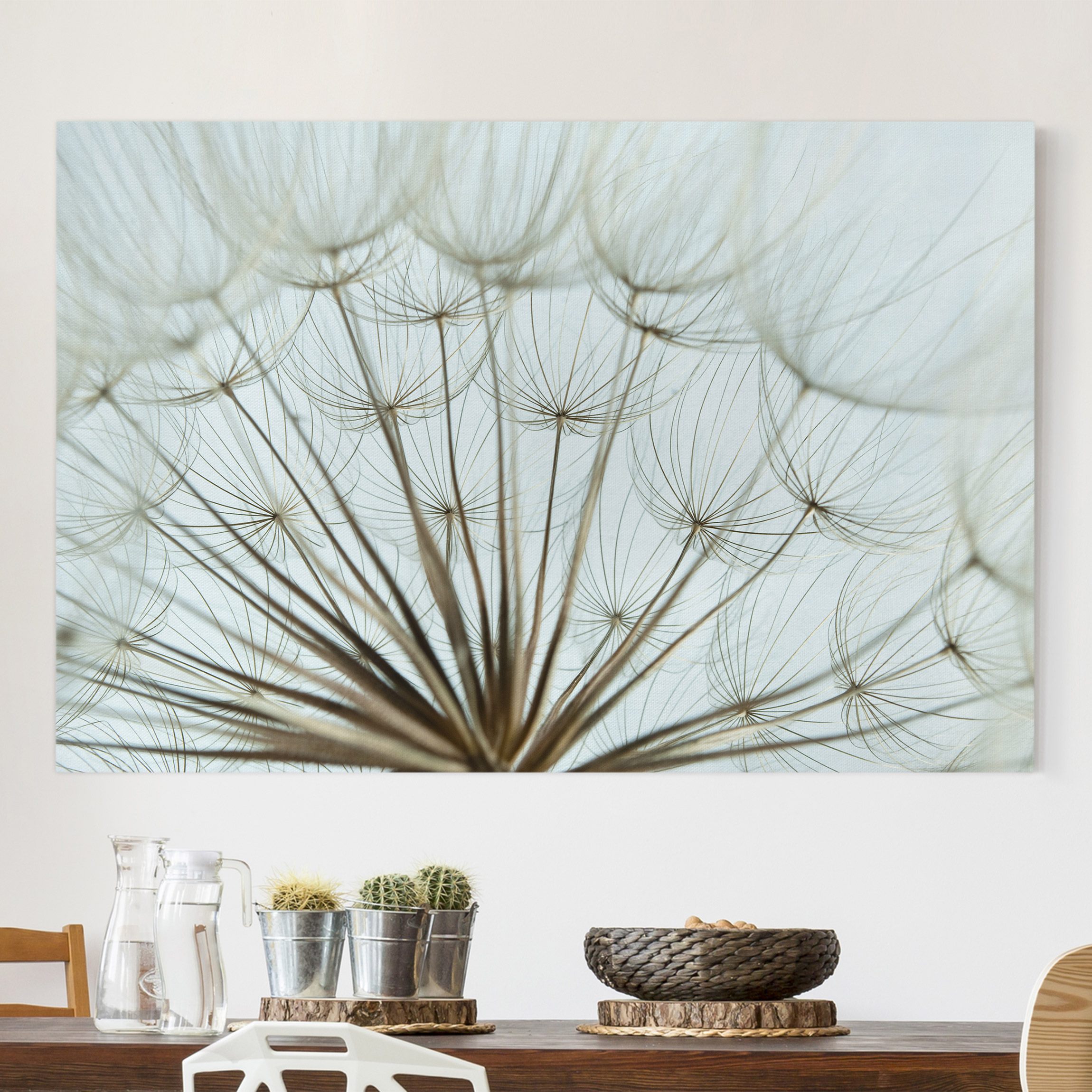 Leinwandbild Blumen Schöne Pusteblume Makroaufnahme