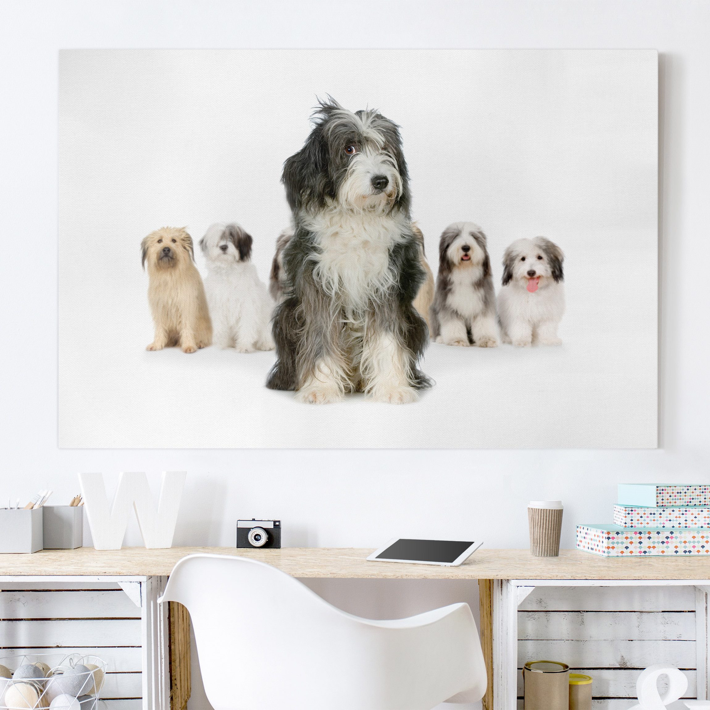 Leinwandbild - Querformat Shaggys