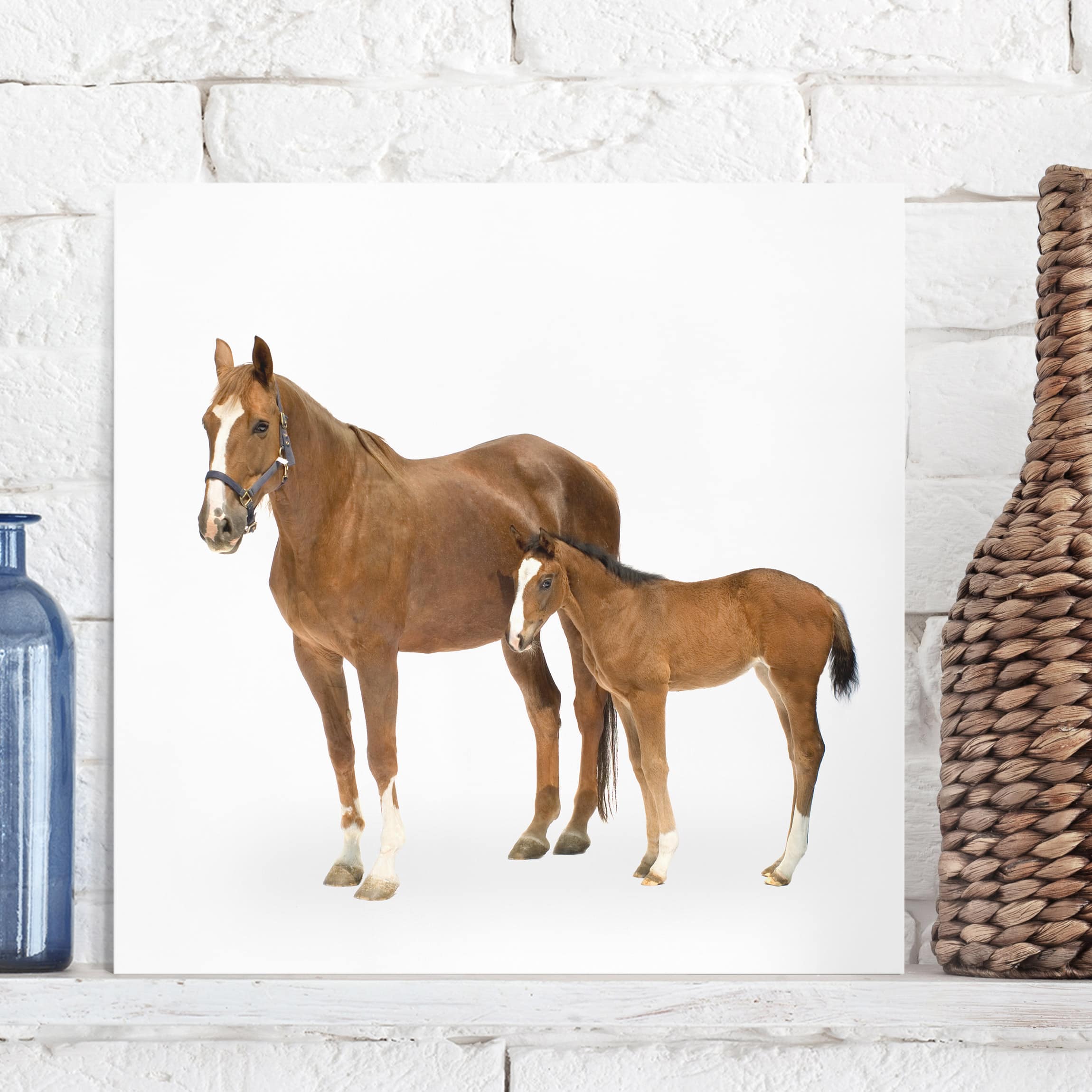 Leinwandbild Pferd Stute & Fohlen