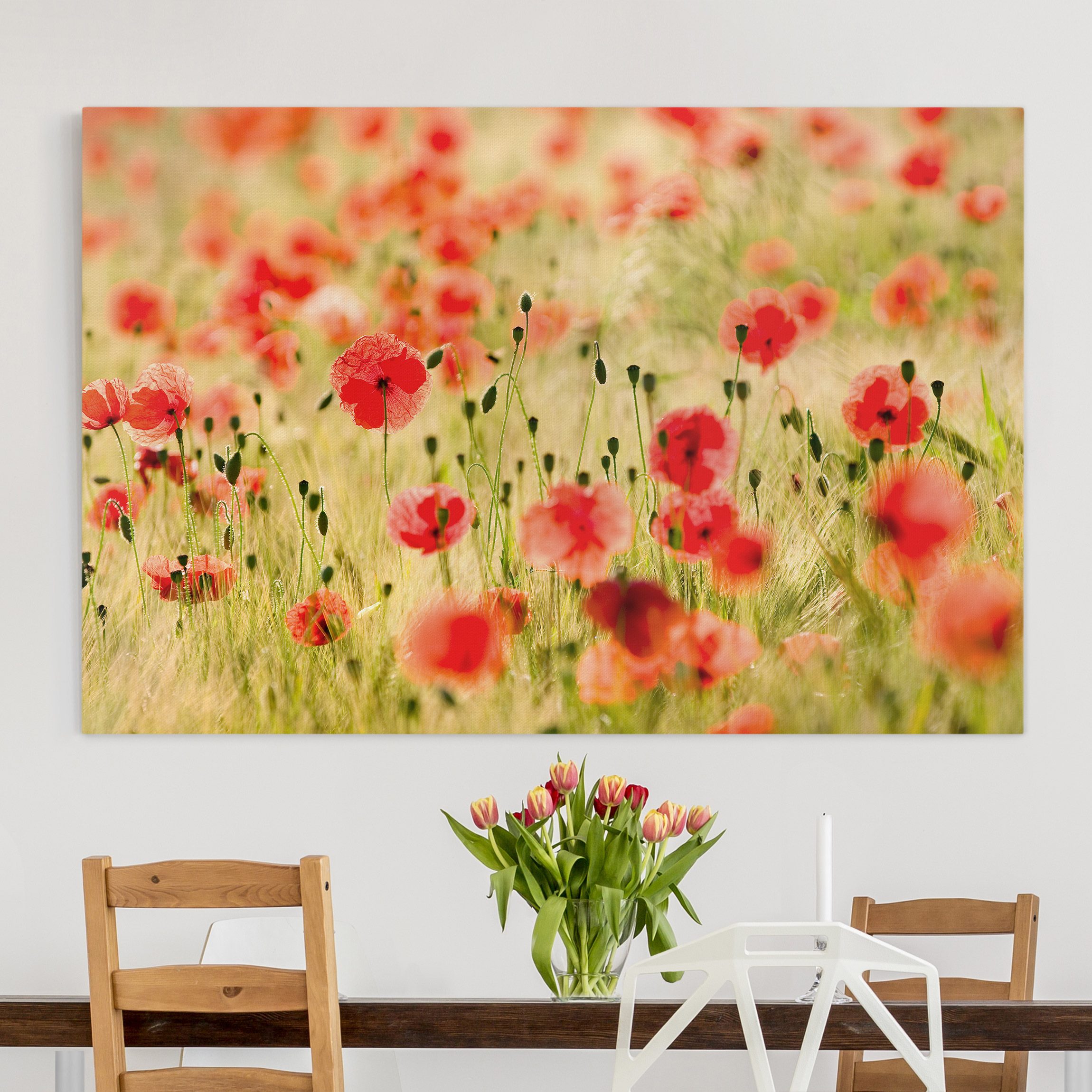 Leinwandbild Blumen Summer Poppies