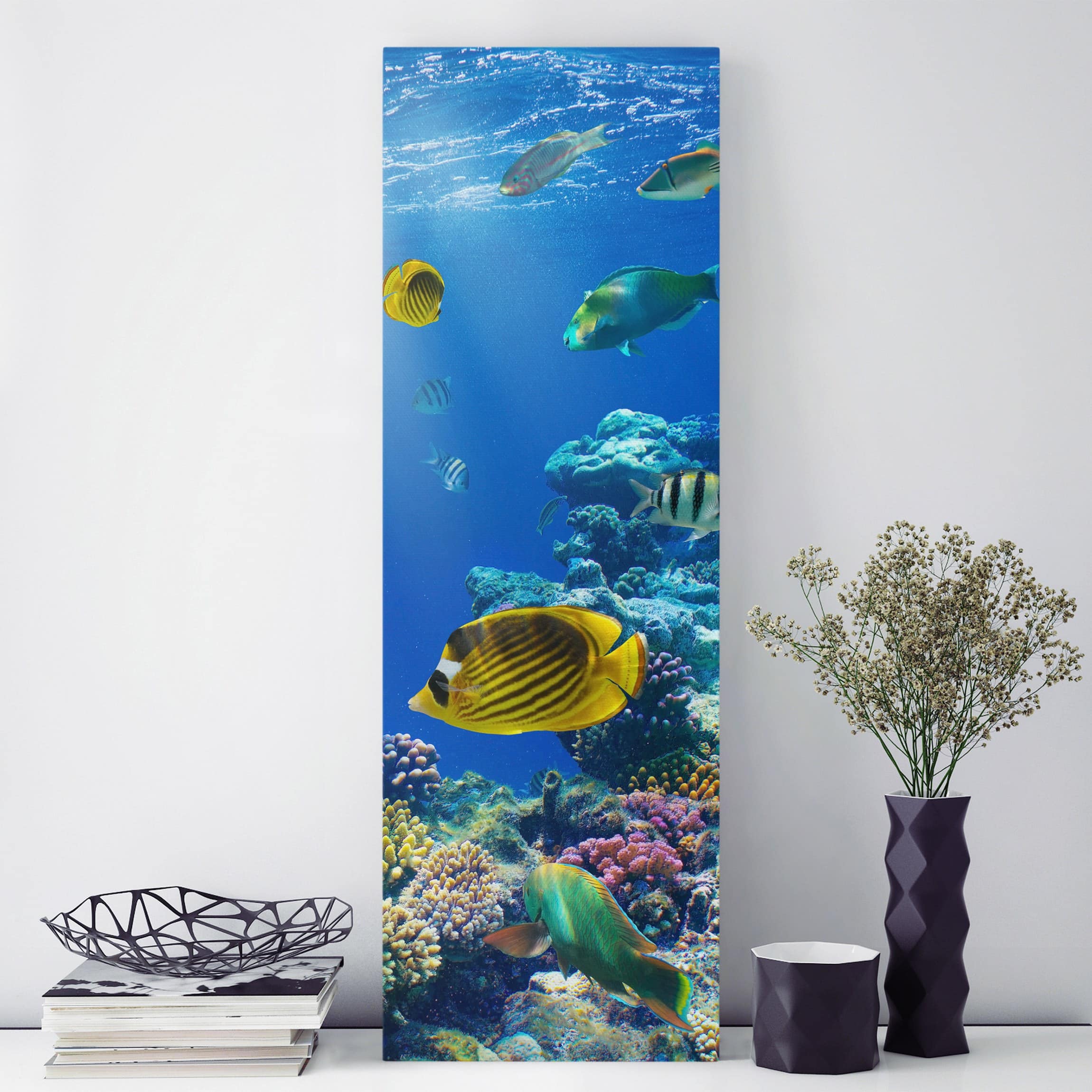 Leinwandbild Tiere Underwater Lights