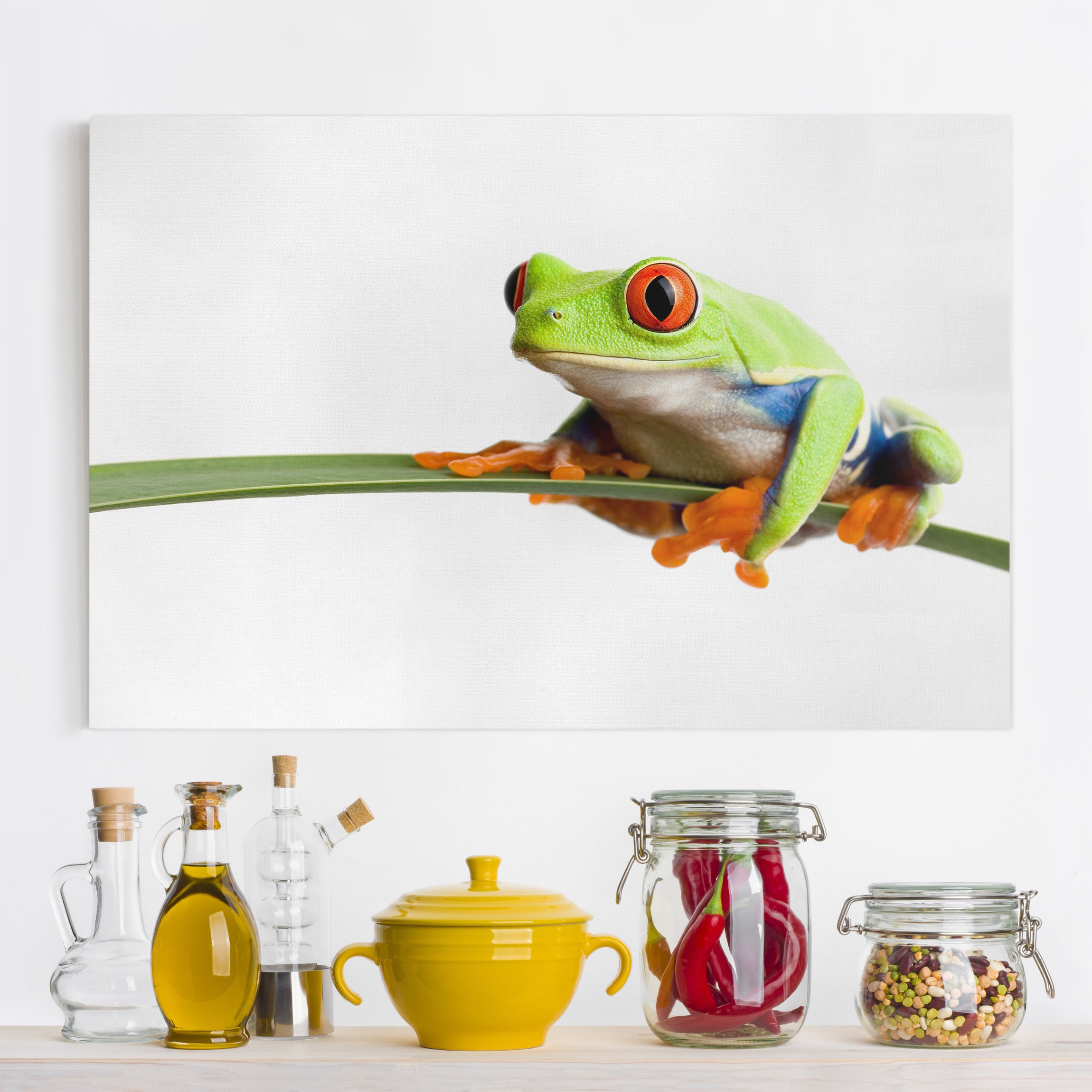 Leinwandbild Tiere Weatherman