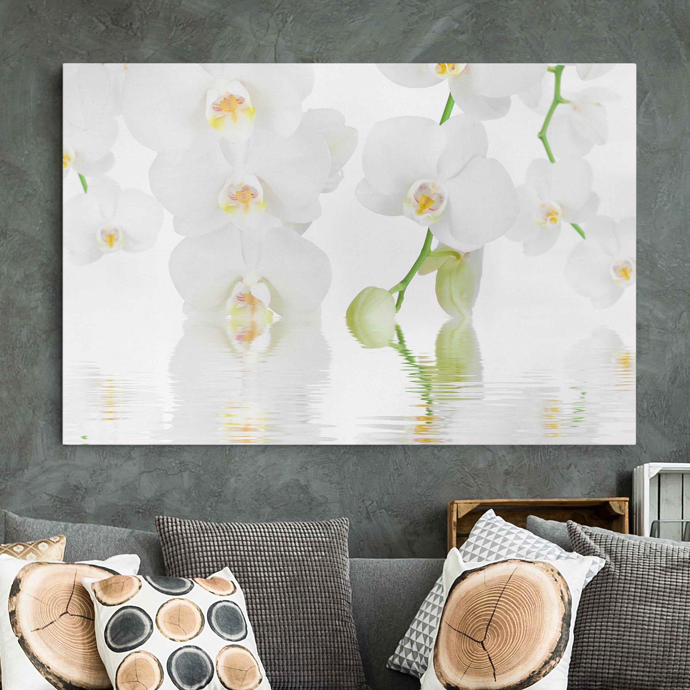 Leinwandbild - Querformat Wellness Orchidee - Weiße Orchidee