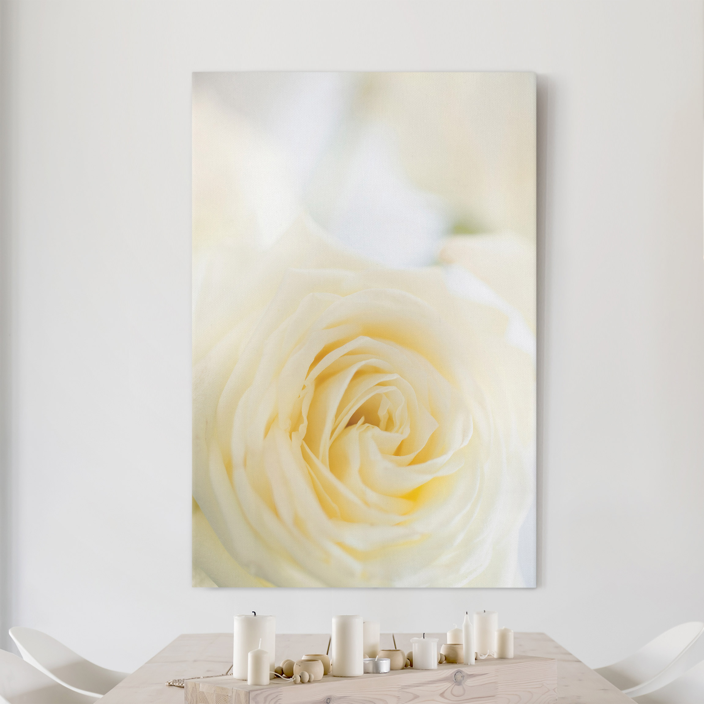 Leinwandbild Blumen White Rose