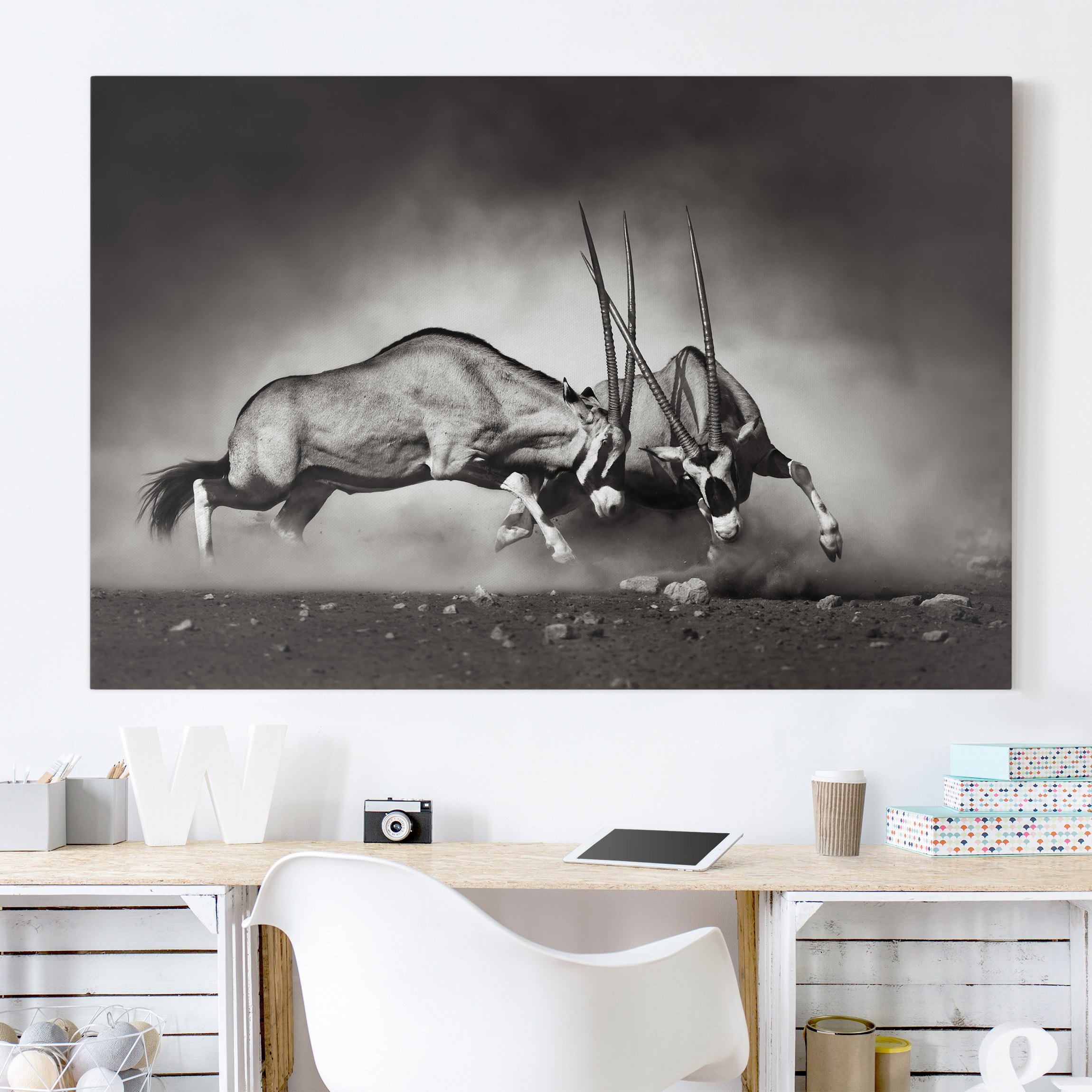 Leinwandbild Tiere Wilder Kampf