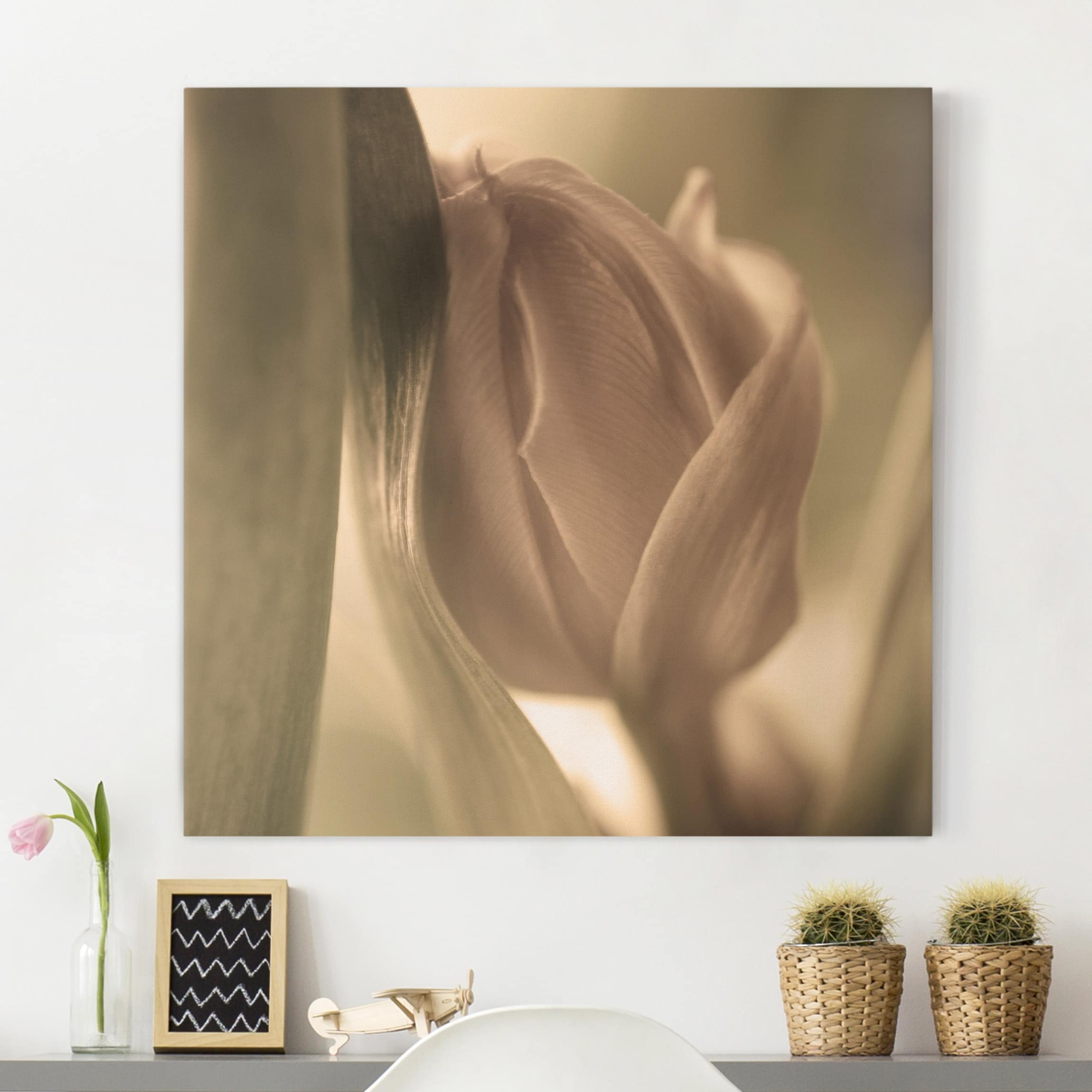 Leinwandbild Blumen Zarte Tulpen