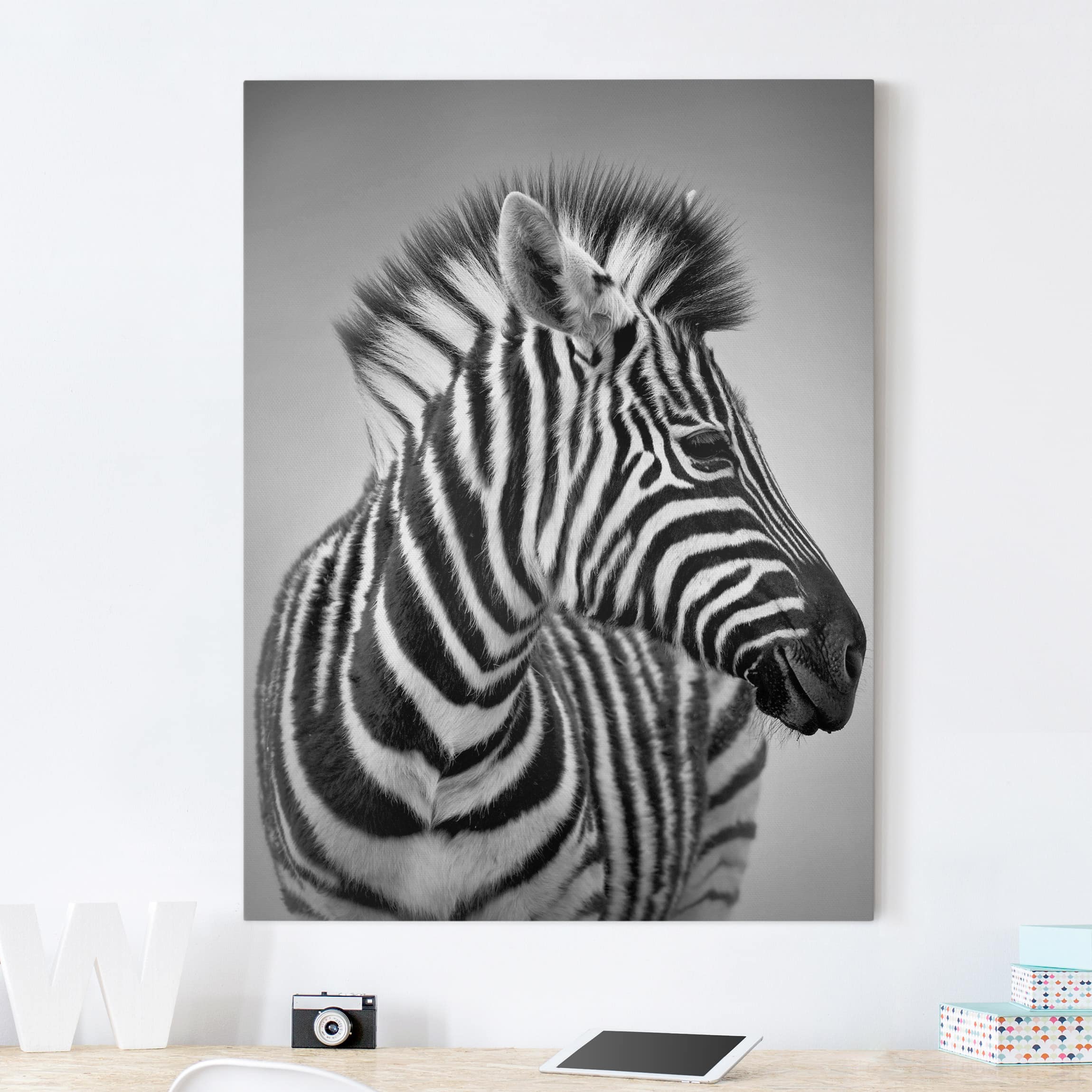 Leinwandbild - Hochformat Zebra Baby Portrait II