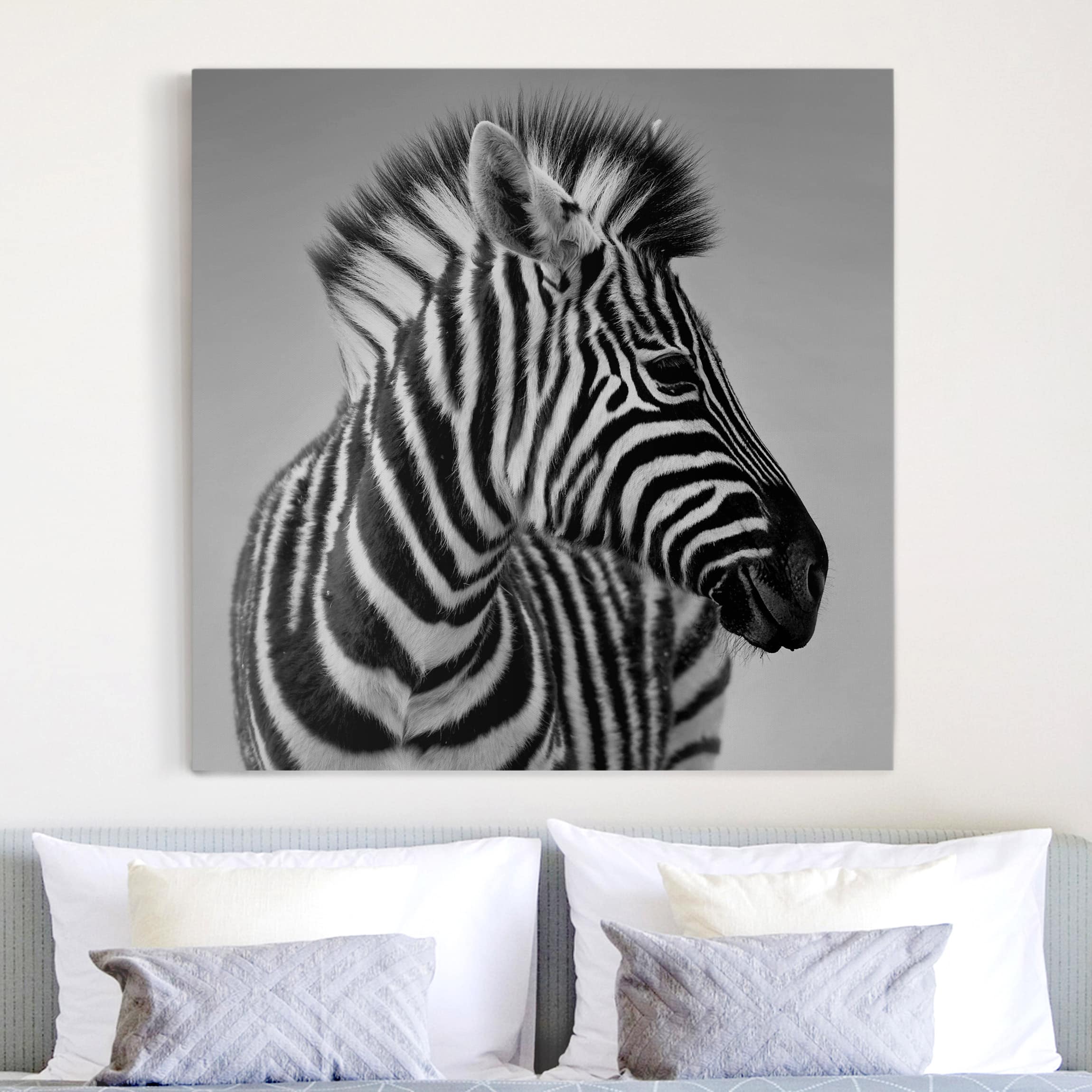 Leinwandbild - Quadrat Zebra Baby Portrait II