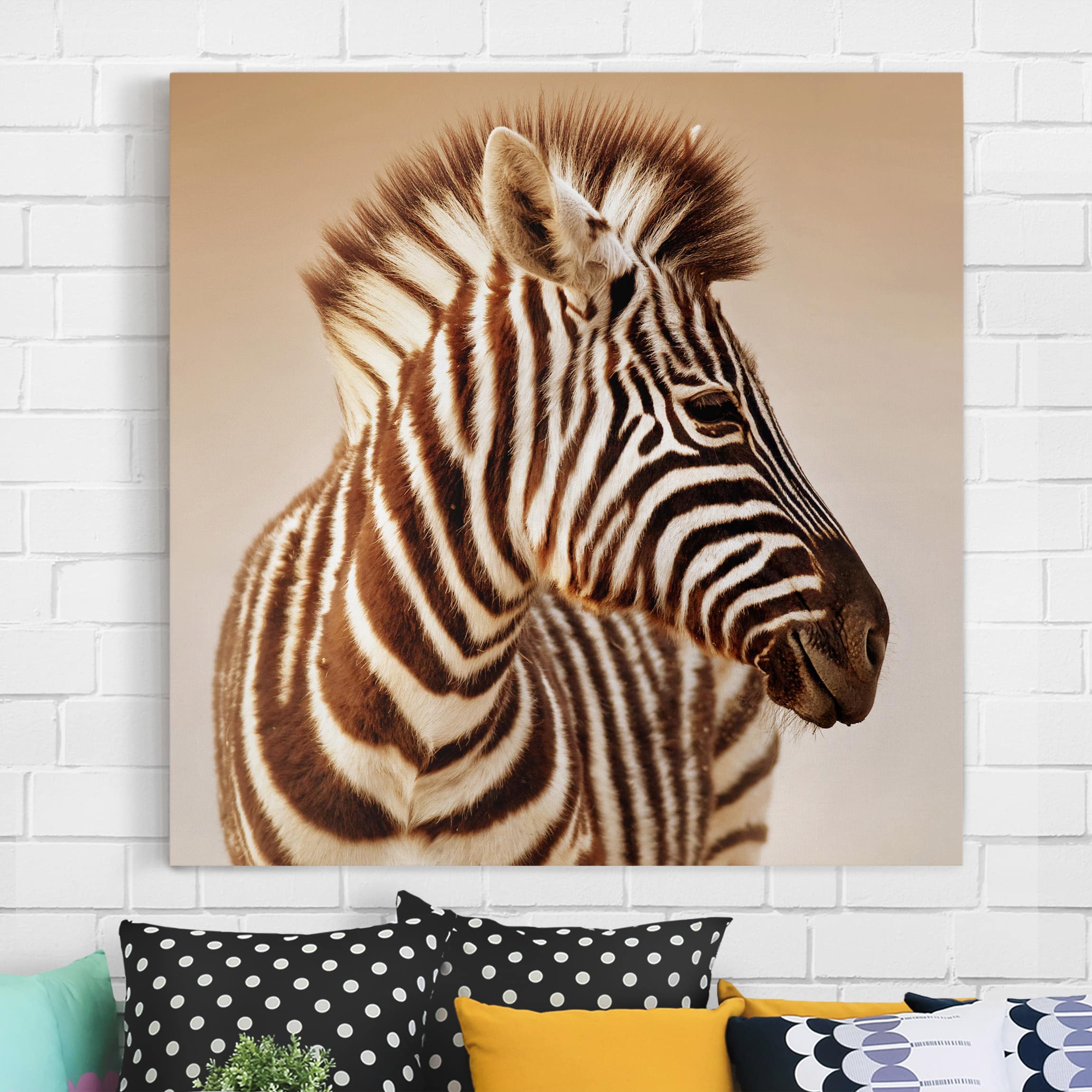 Leinwandbild - Quadrat Zebra Baby Portrait