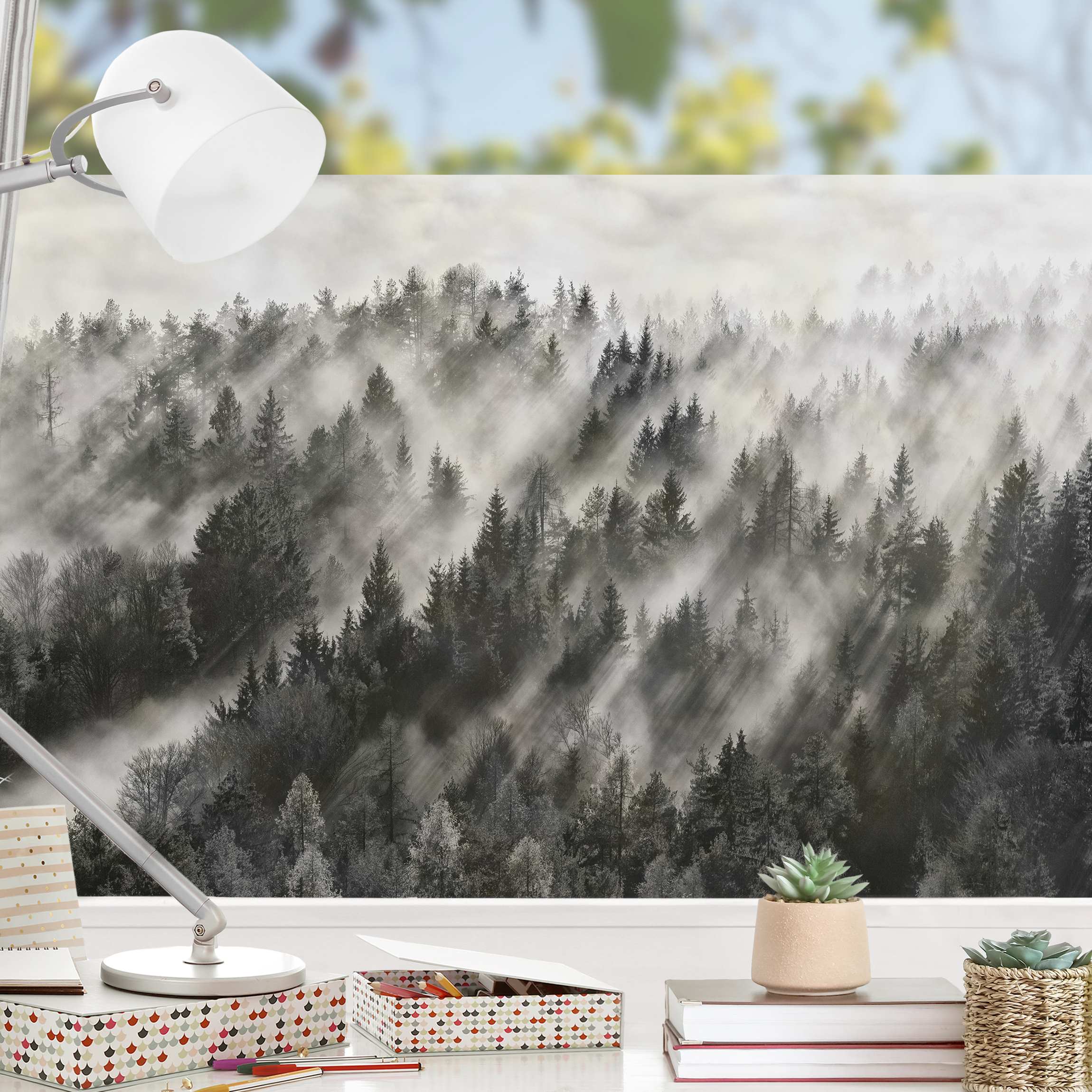 Fensterfolie Lichtstrahlen im Nadelwald