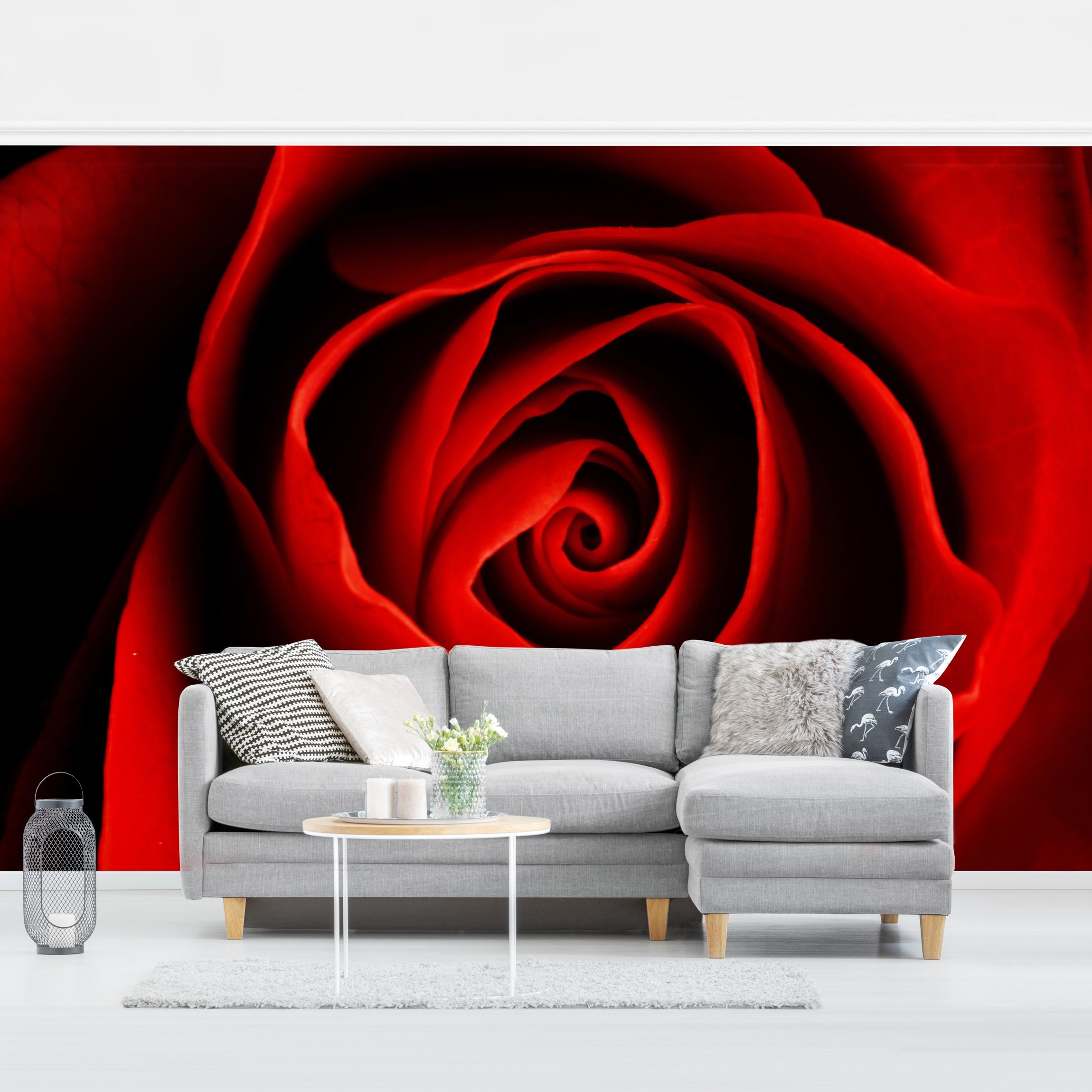 Fototapete Blumen Liebliche Rose