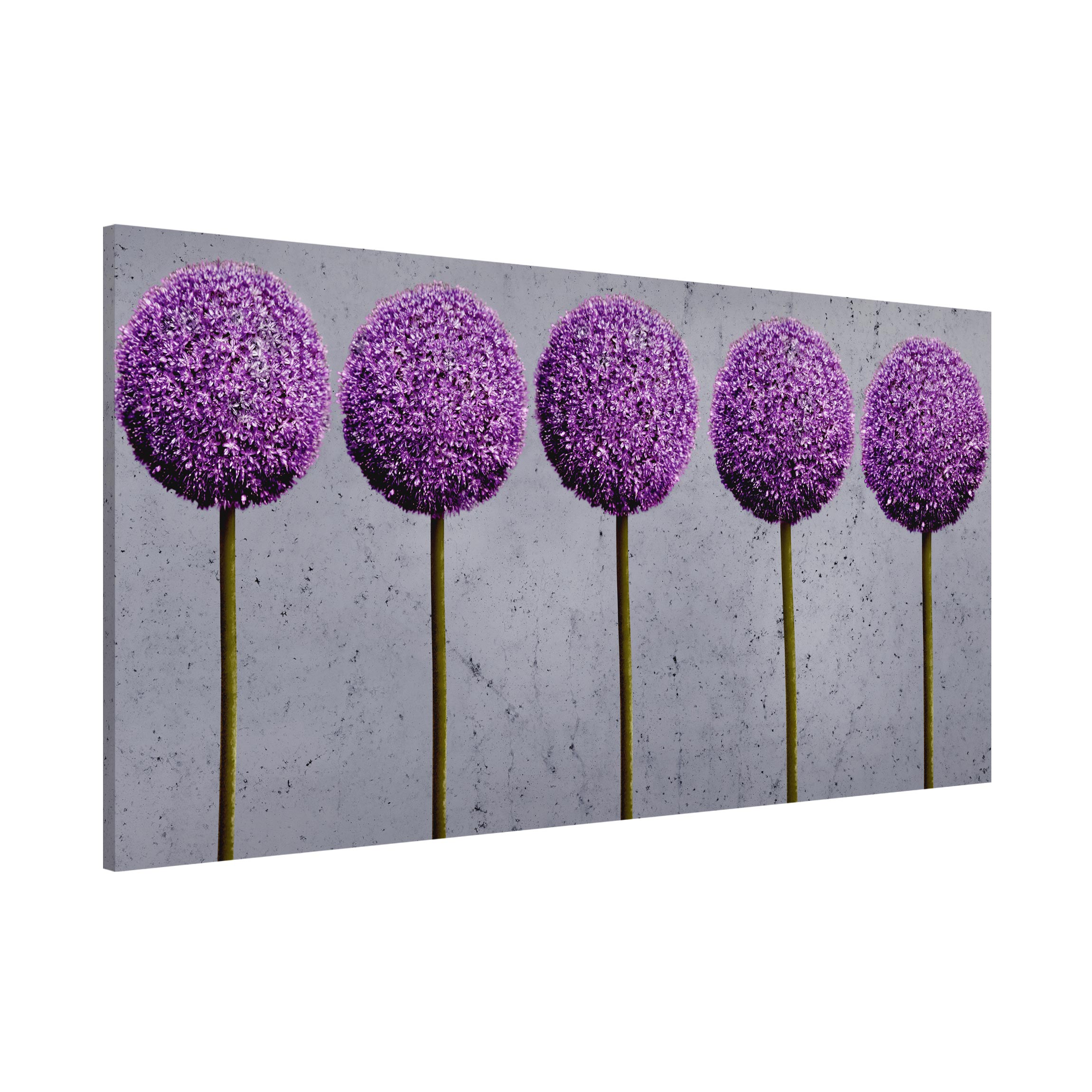 Magnettafel - Querformat 2:1 Allium Kugel-Blüten