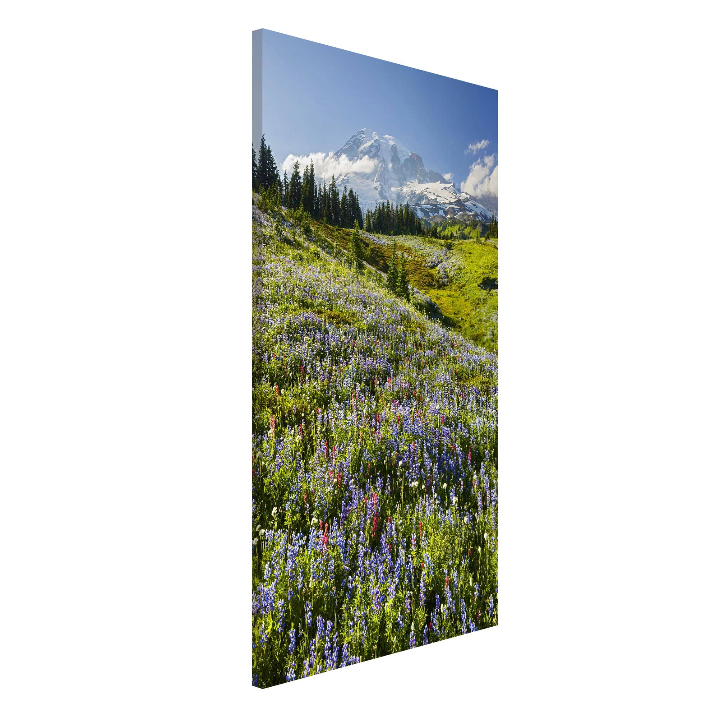 Magnettafel - Hochformat 3:4 Bergwiese mit roten Blumen vor Mt. Rainier