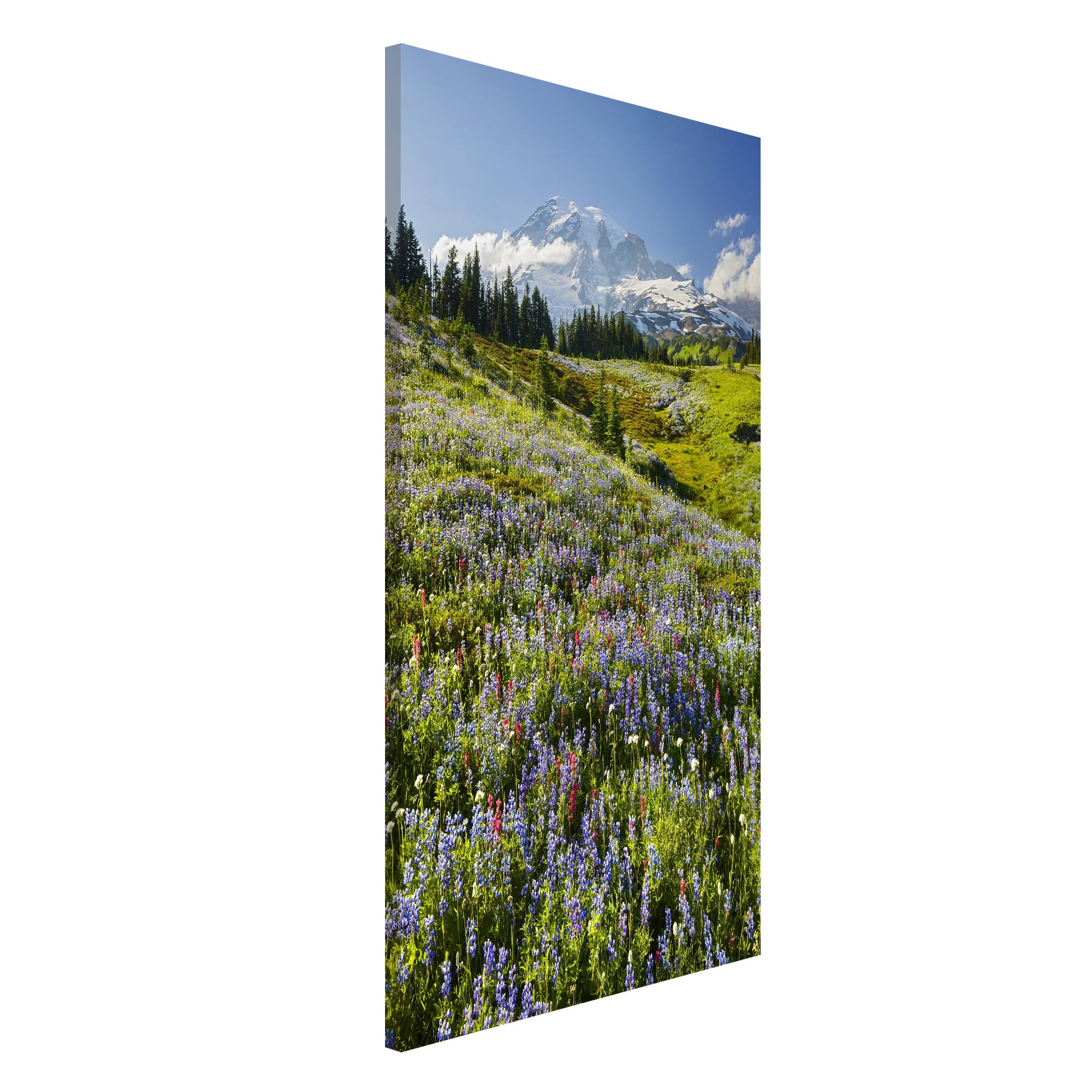 Magnettafel Natur & Landschaft - Hochformat 3:4 Bergwiese mit roten Blumen vor Mt. Rainier
