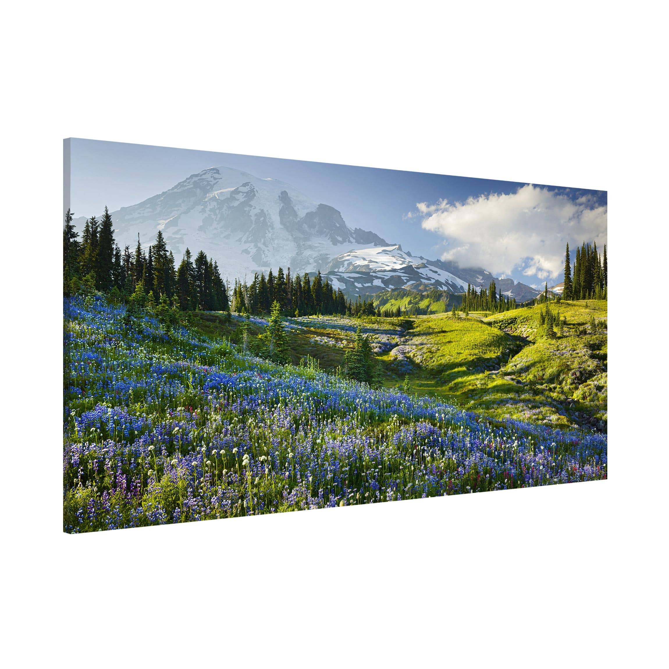 Magnettafel - Querformat 2:1 Bergwiese mit blauen Blumen vor Mt. Rainier