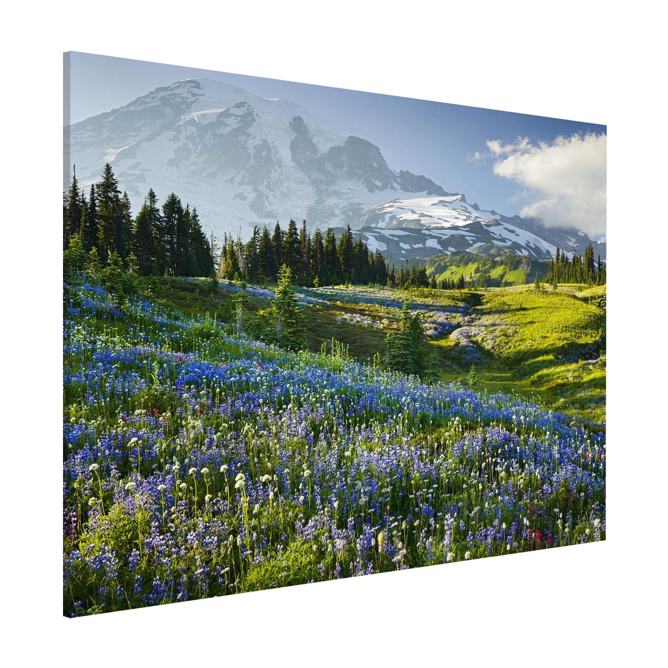 Magnettafel Bergwiese mit blauen Blumen vor Mt. Rainier