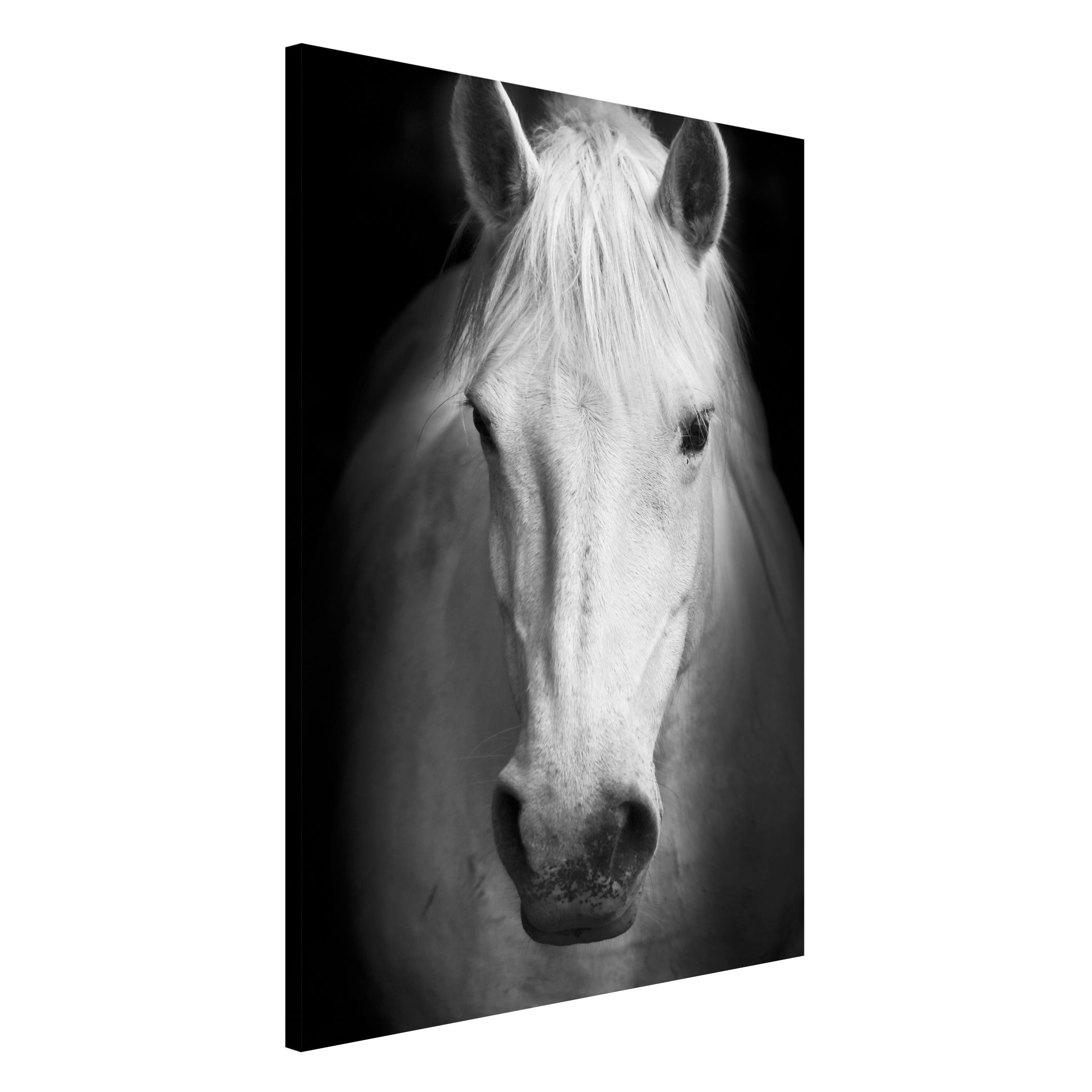 Magnettafel - Hochformat 2:3 Dream of a Horse