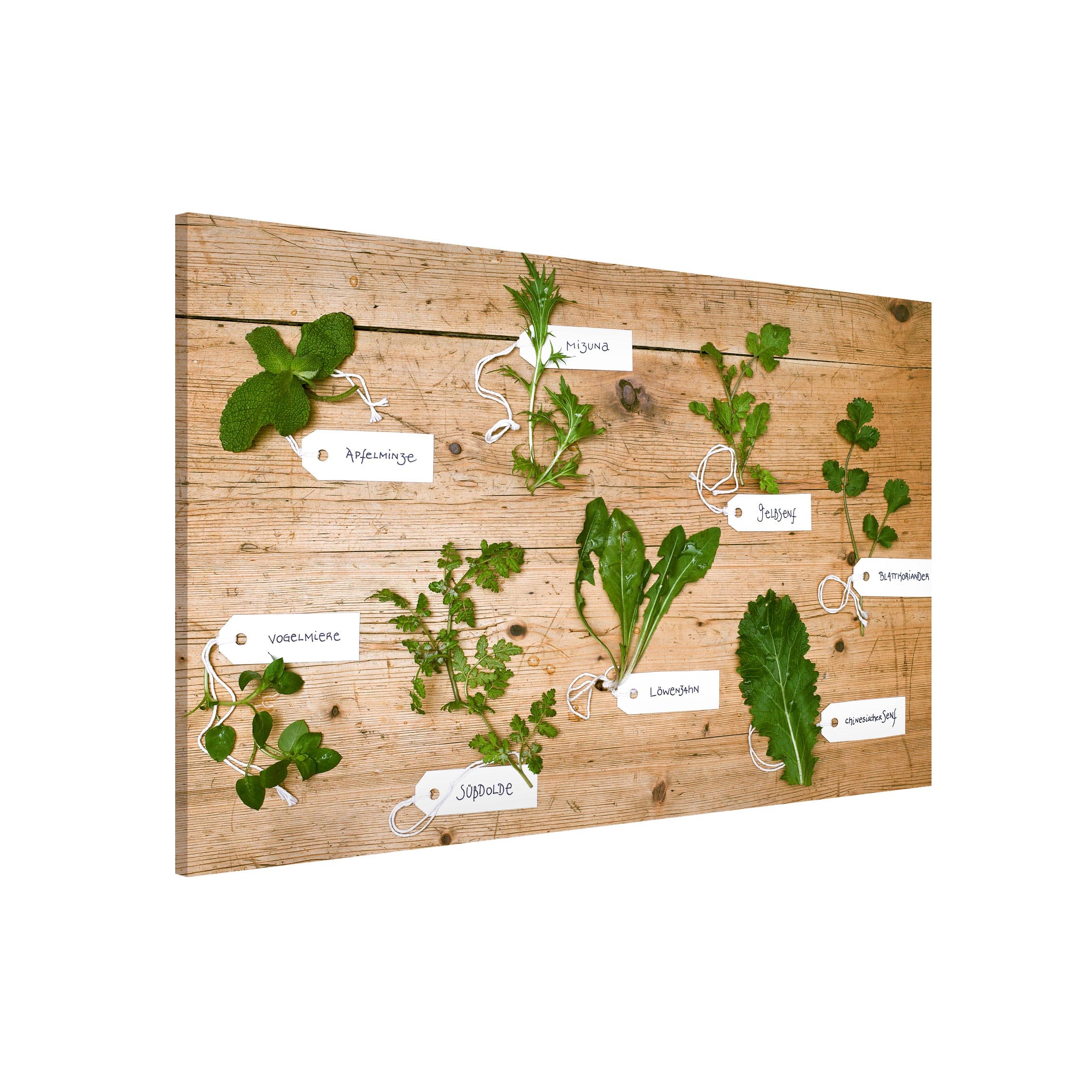 Magnettafel - Querformat 3:2 Kräuter mit Beschriftung
