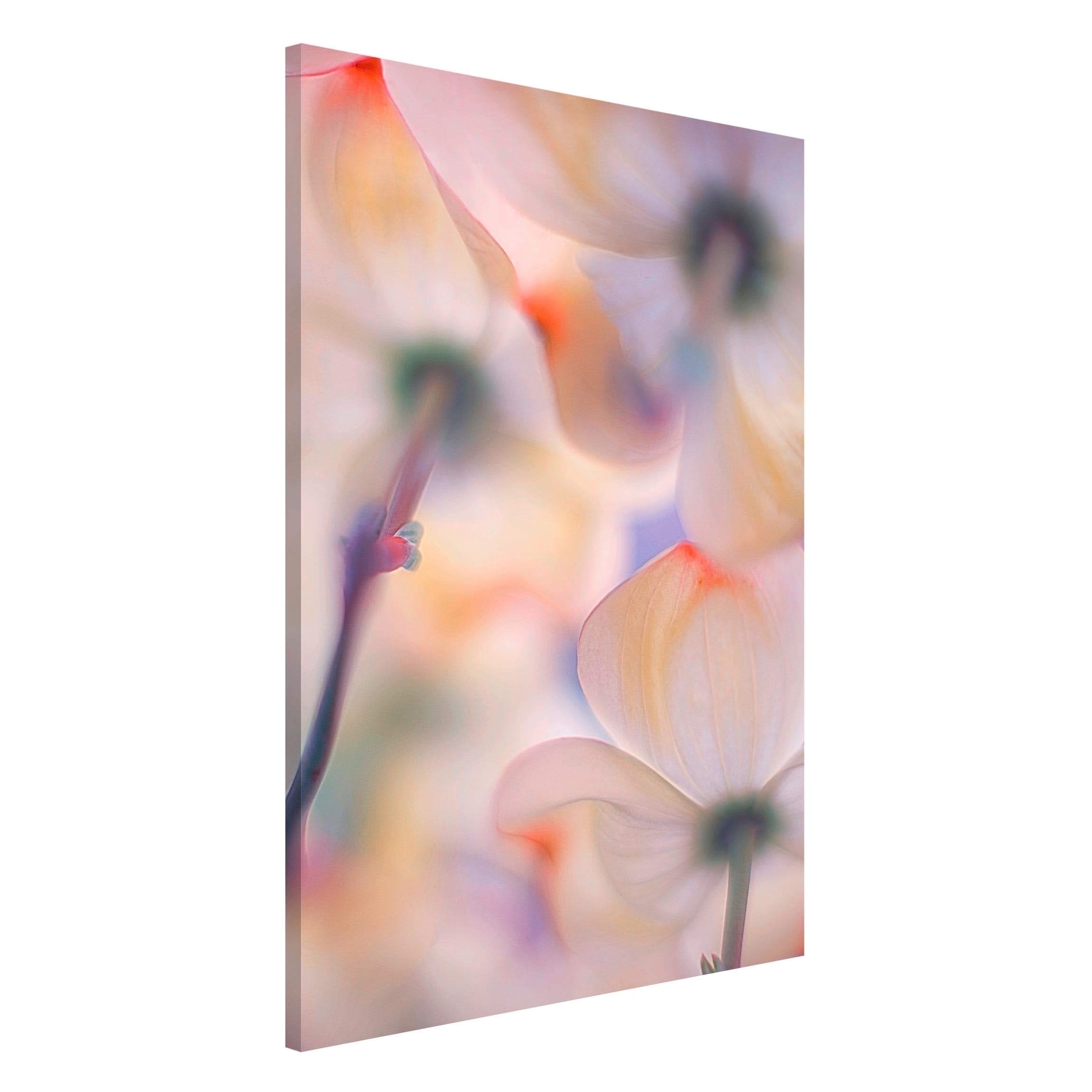 Magnettafel - Hochformat 2:3 Unter Blüten