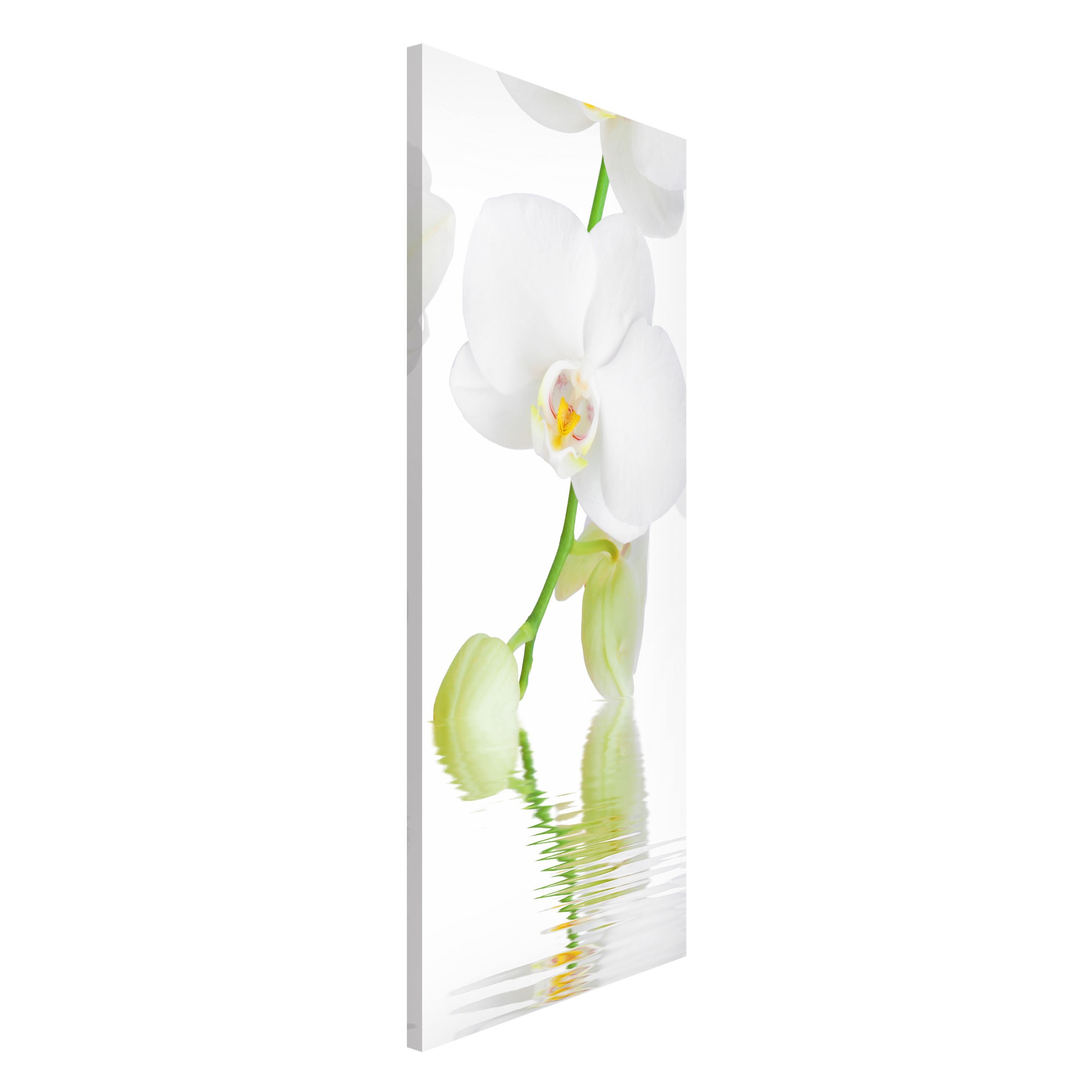 Magnettafel Orchideen Wellness Orchidee