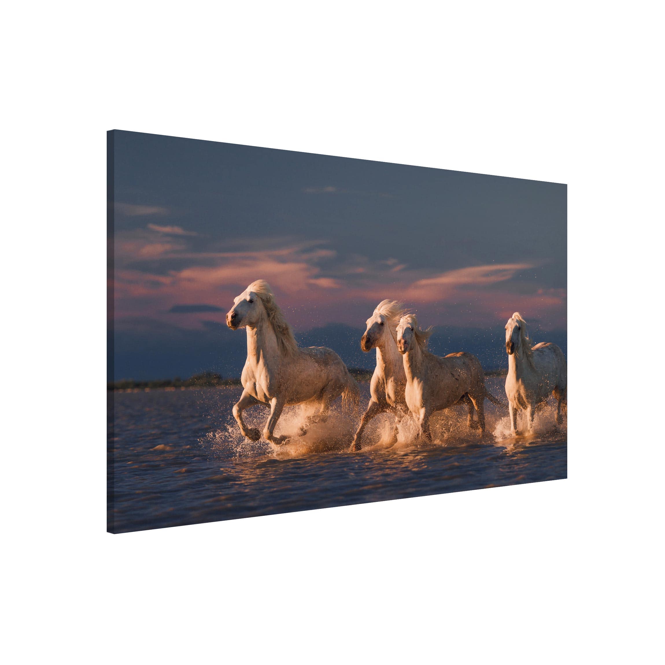 Magnettafel - Querformat 3:2 Wilde Pferde in Kamargue