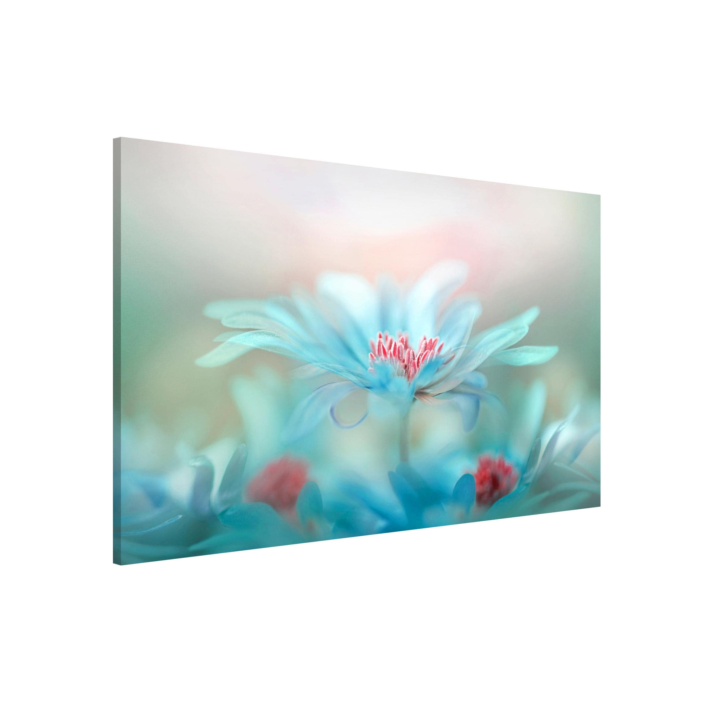 Magnettafel - Querformat 3:2 Zarte Blüten in Pastell