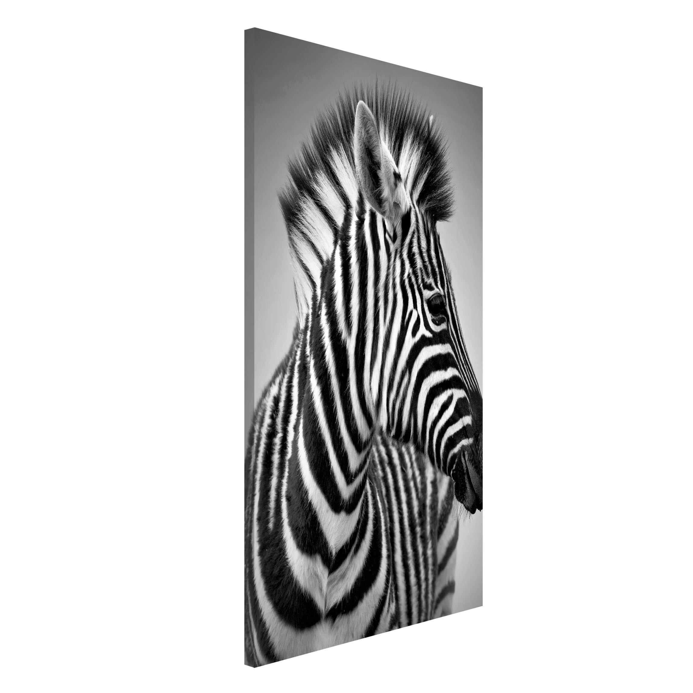 Magnettafel - Hochformat 3:4 Zebra Baby Portrait II