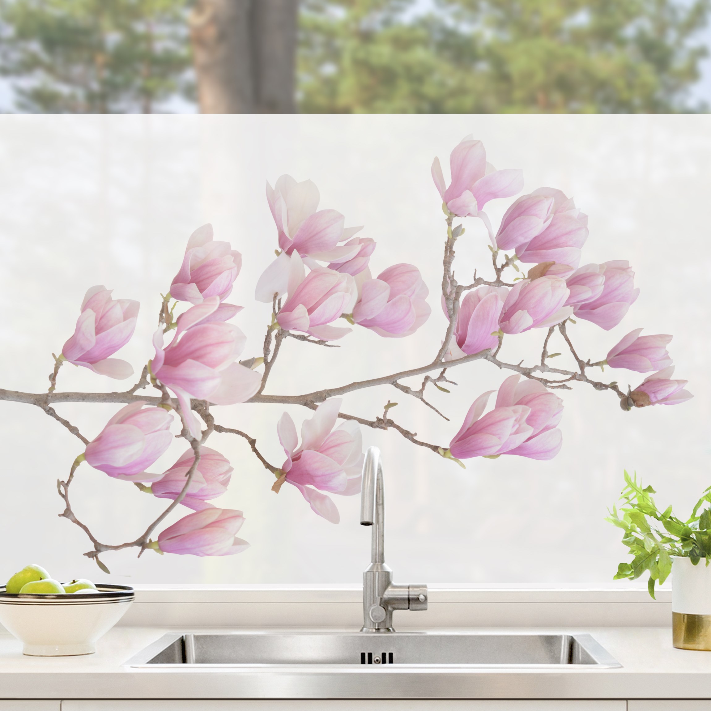 Fensterfolie Magnolienzweig