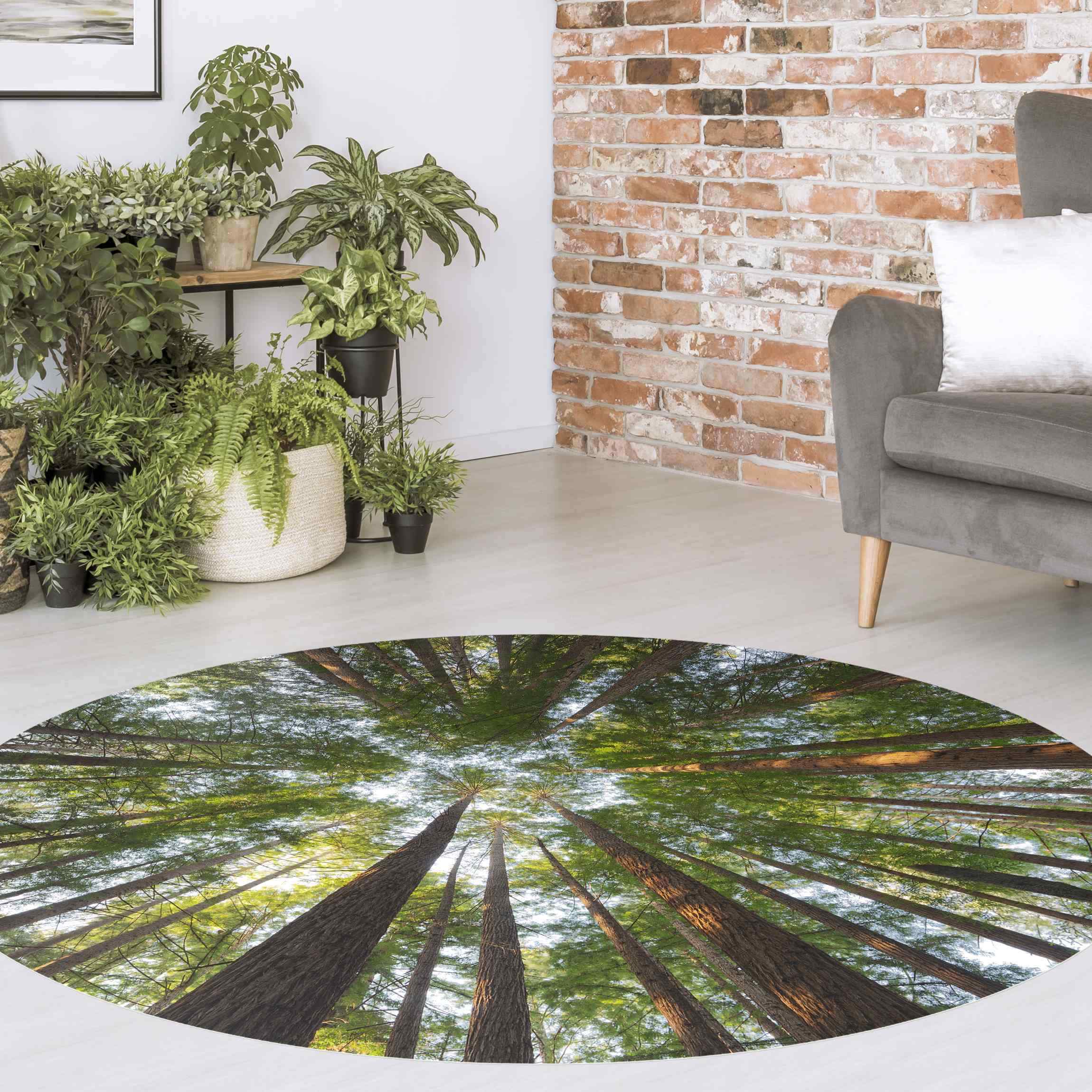 Runder Vinyl-Teppich Mammutbaum Baumkronen
