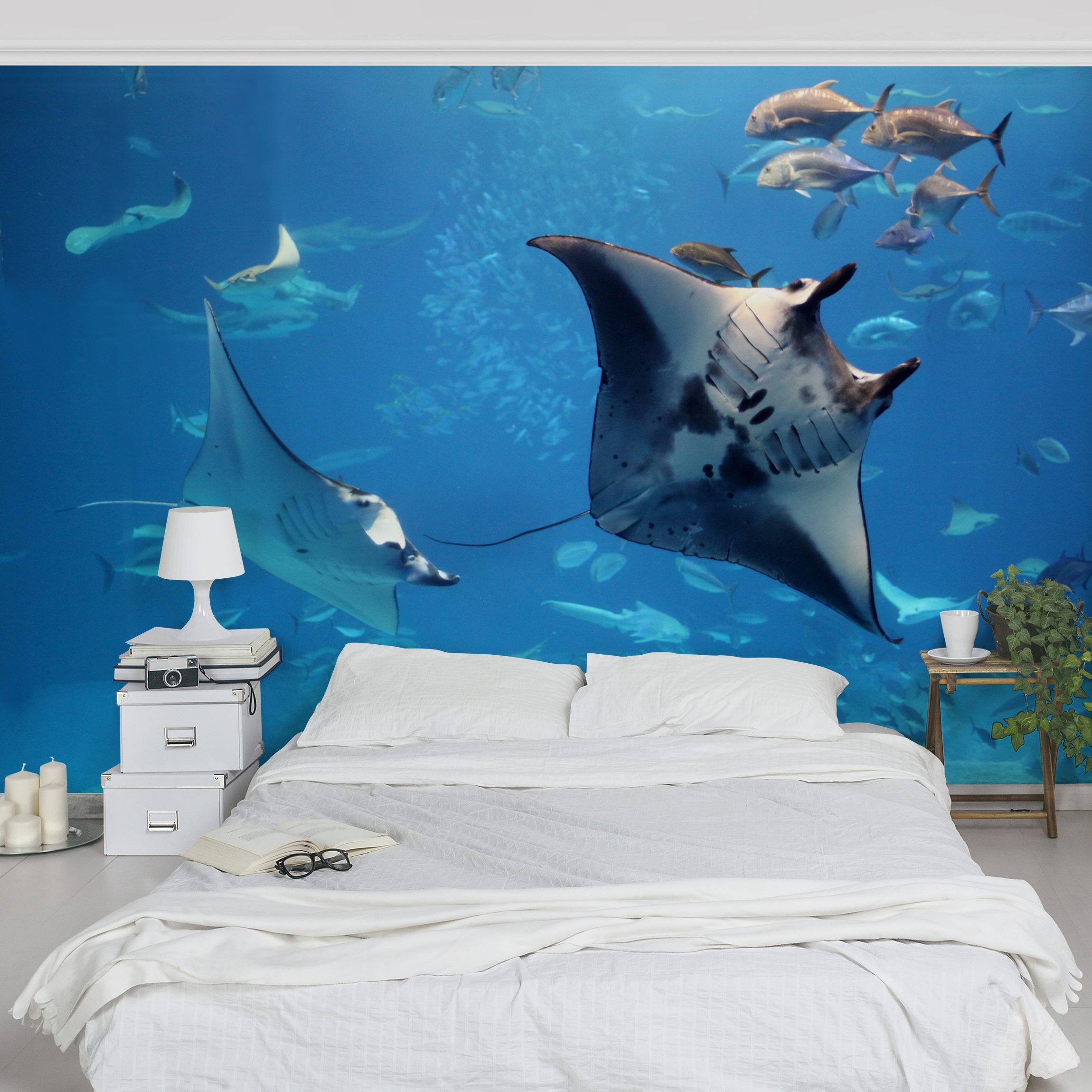 Fototapete Strand Manta Ray