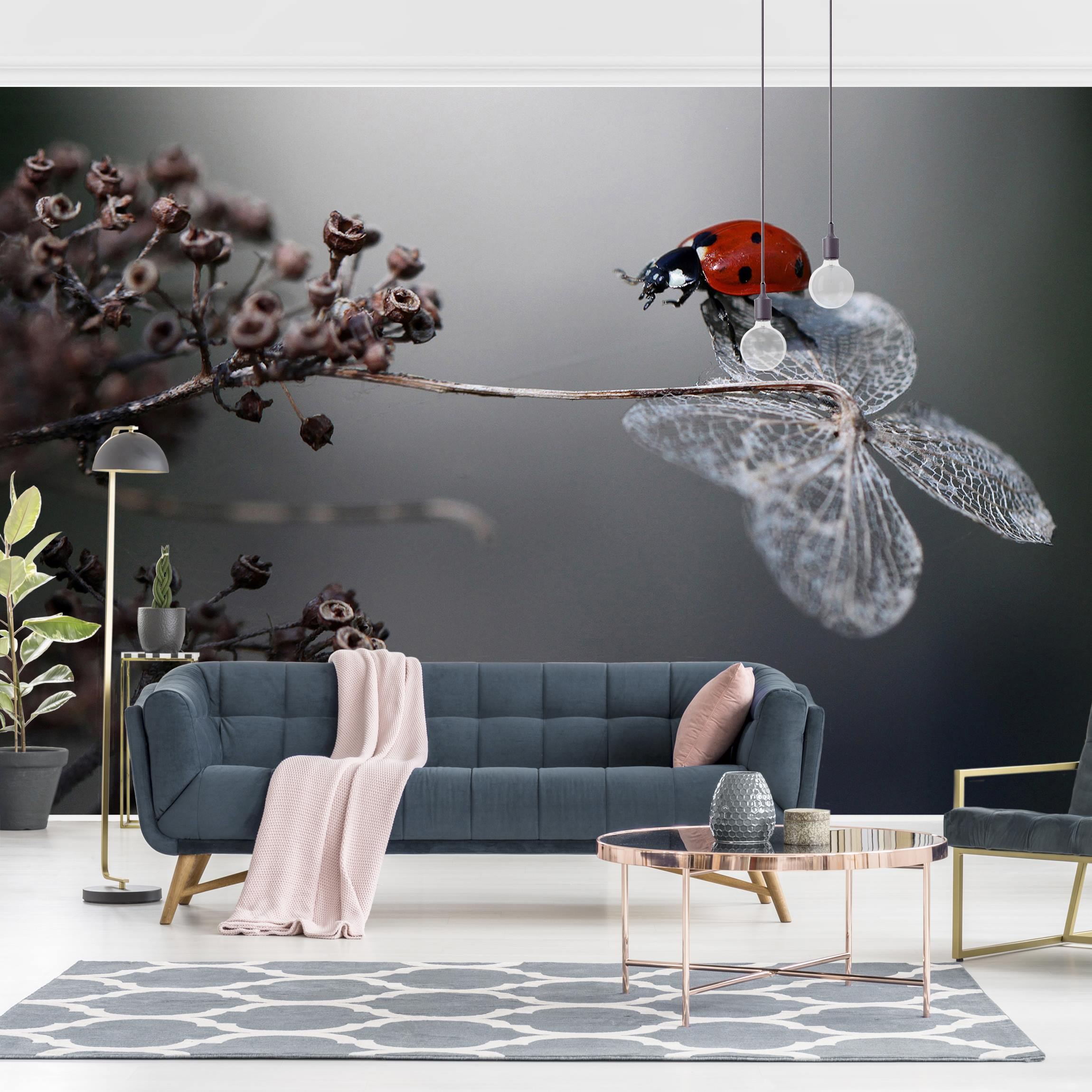 Fototapete Marienkäfer auf Hortensie