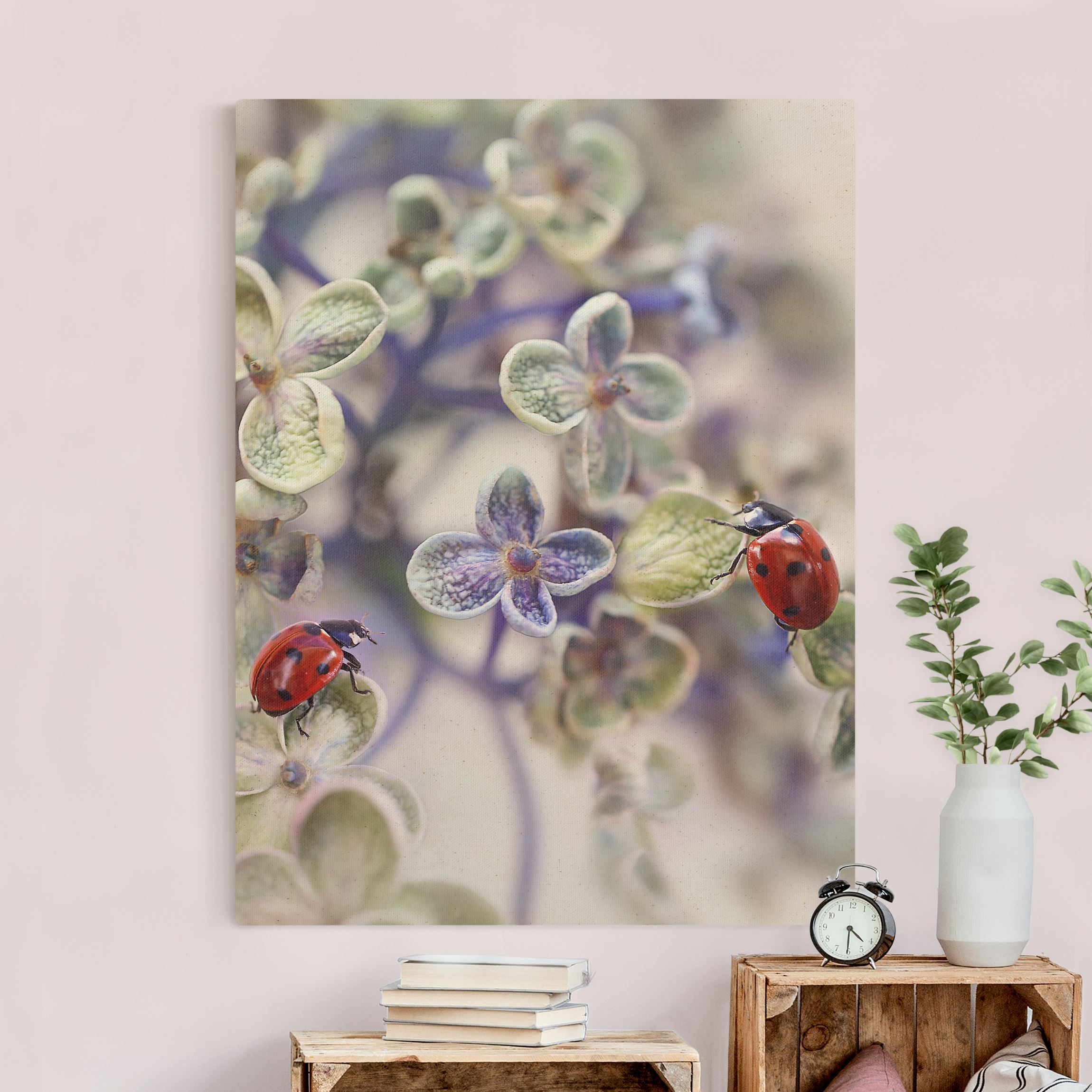 Leinwandbild auf Naturcanvas Marienkäfer im Garten