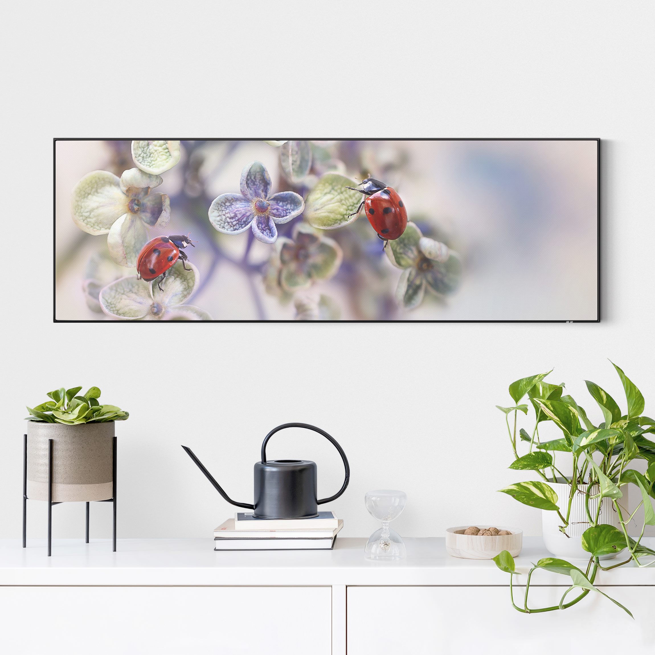 Wechselbild Marienkäfer im Garten