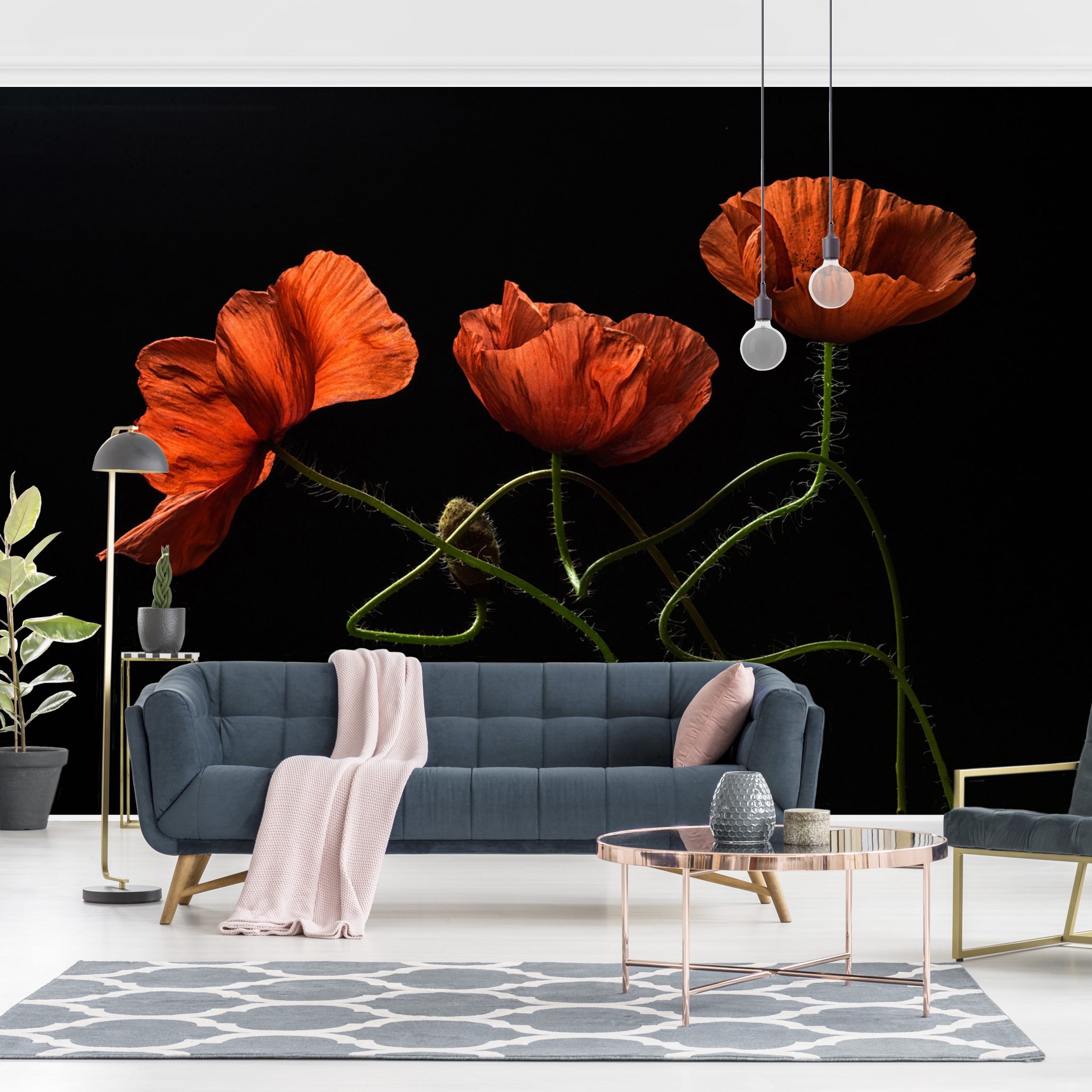 Fototapete Blumen Mohnblumen um Mitternacht