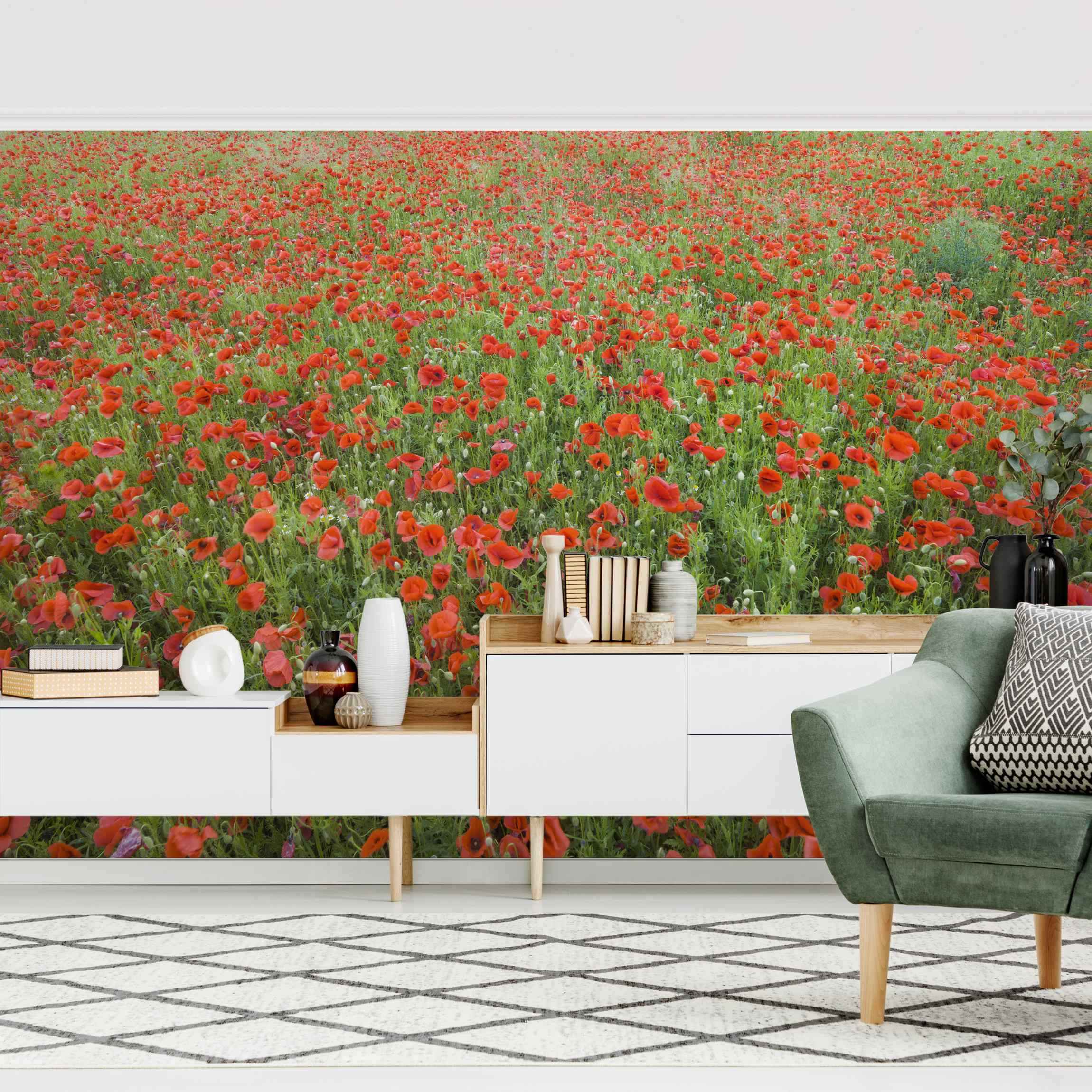 Fototapete Mohnblumenfeld