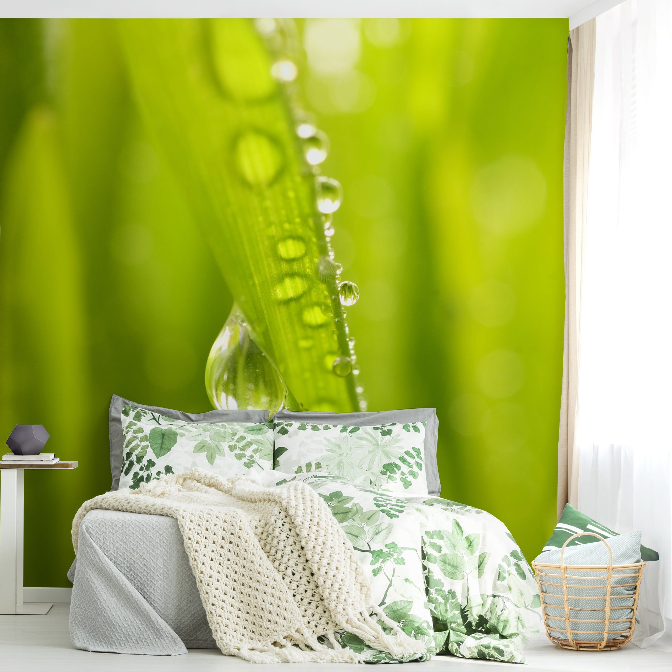 Fototapete Blumen Morning Dew