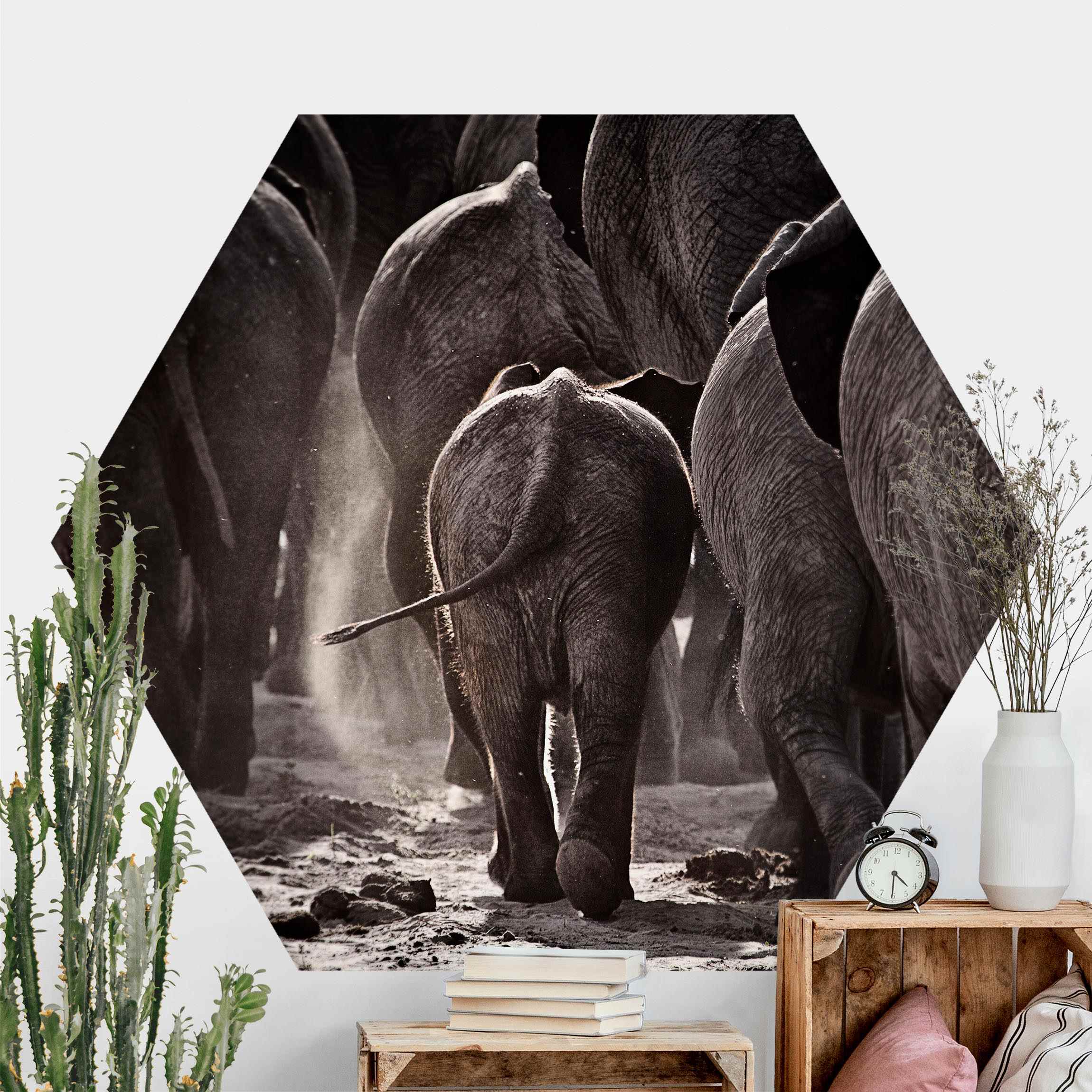 Hexagon Fototapete selbstklebend Nach Hause gehen