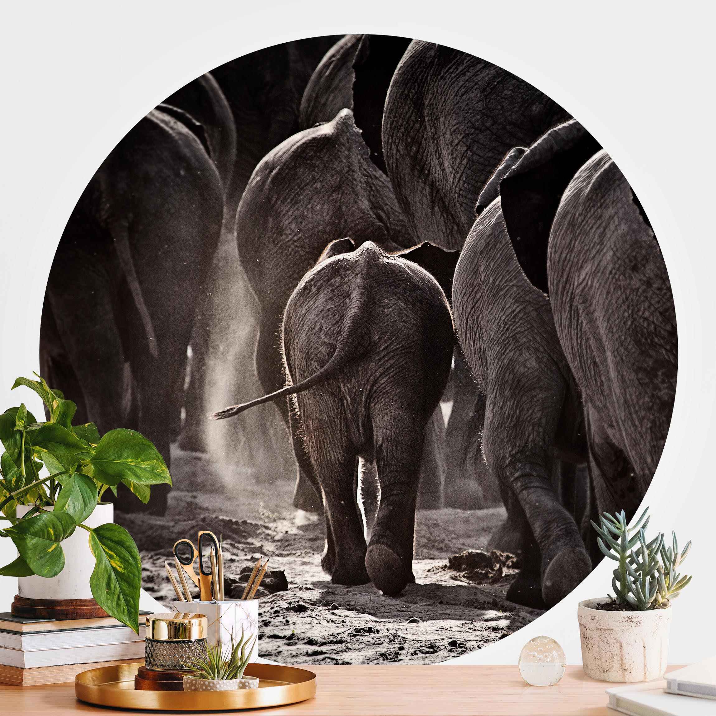 Runde Fototapete selbstklebend Nach Hause gehen