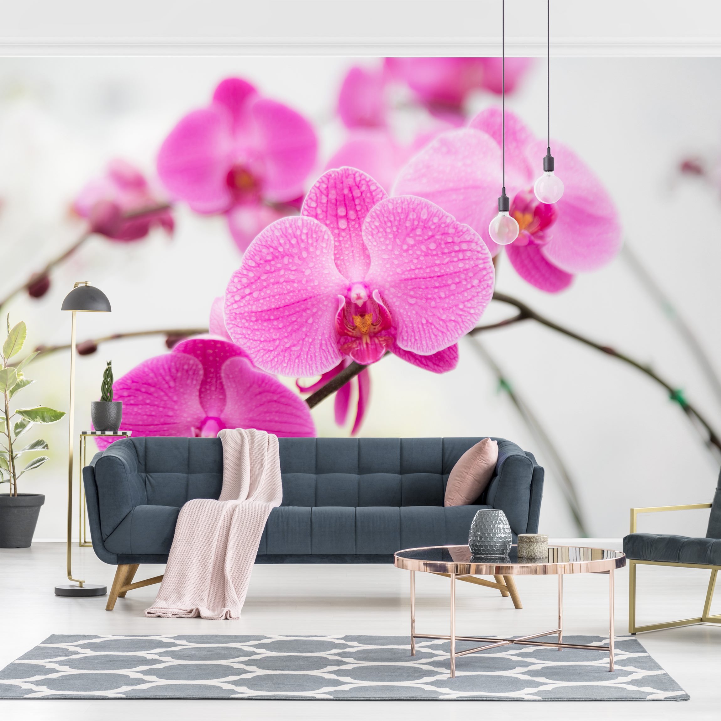 Fototapete Nahaufnahme Orchidee