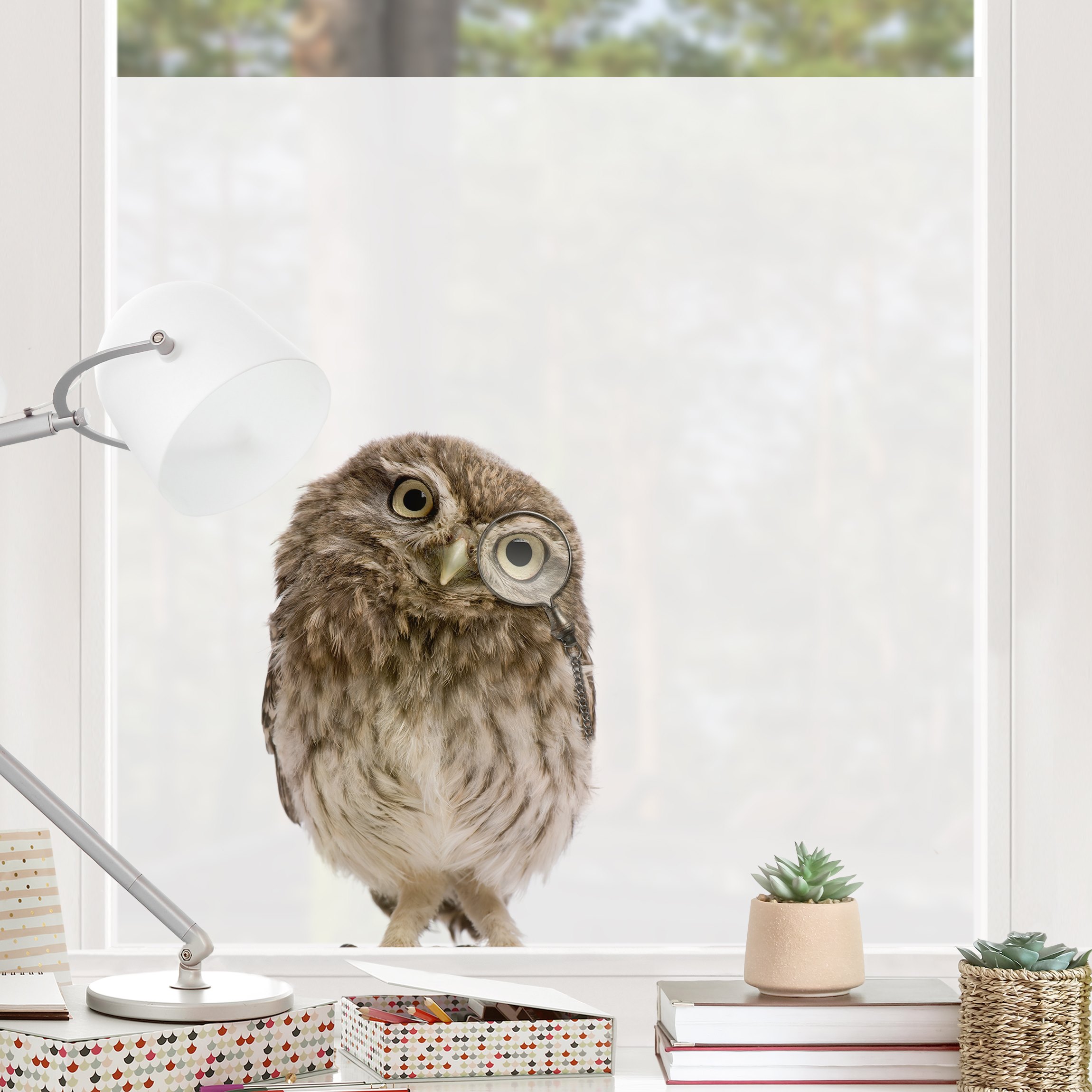 Fensterfolie Neugierige Eule