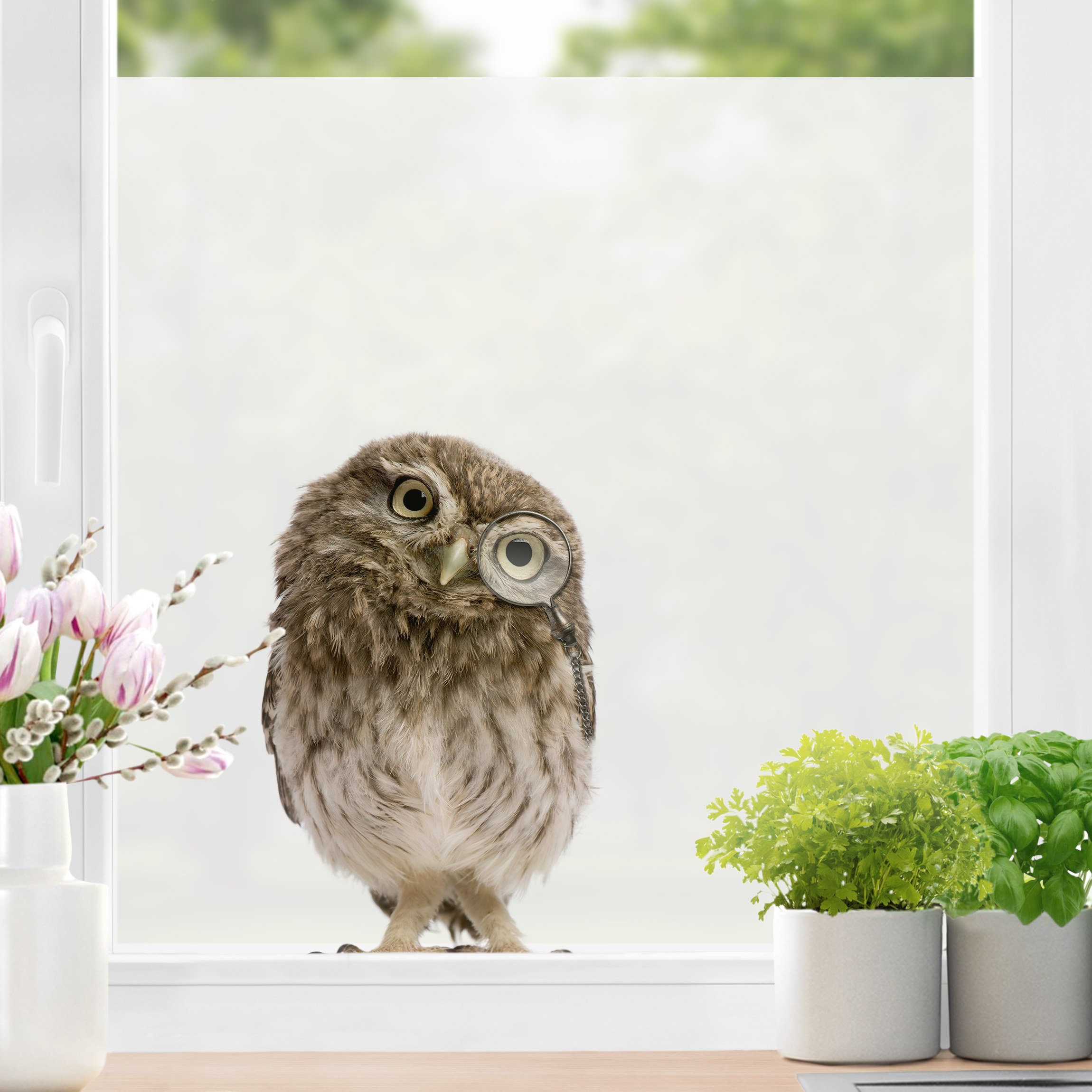 Fensterfolie Neugierige Eule
