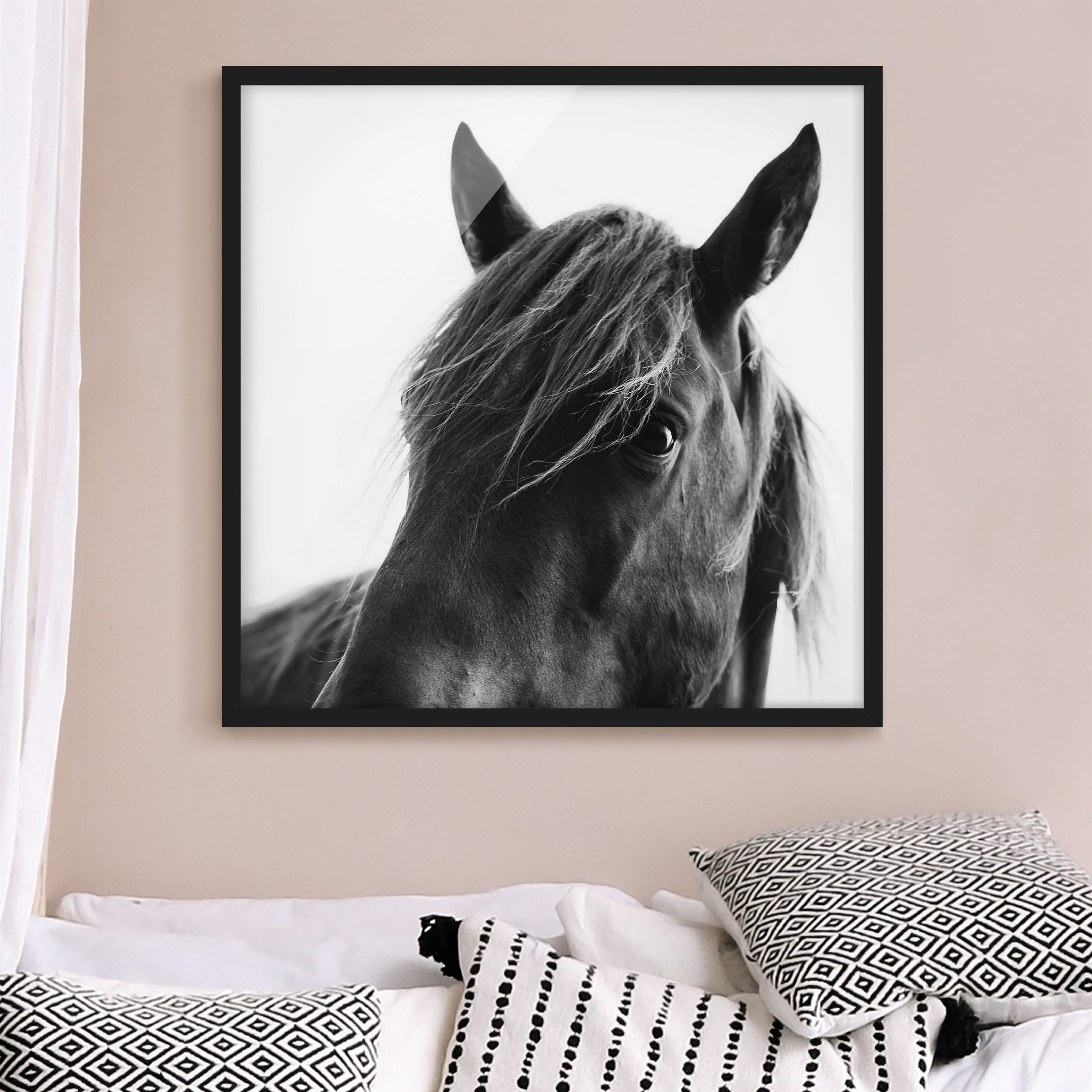 Bild mit Rahmen Neugieriges Pferd