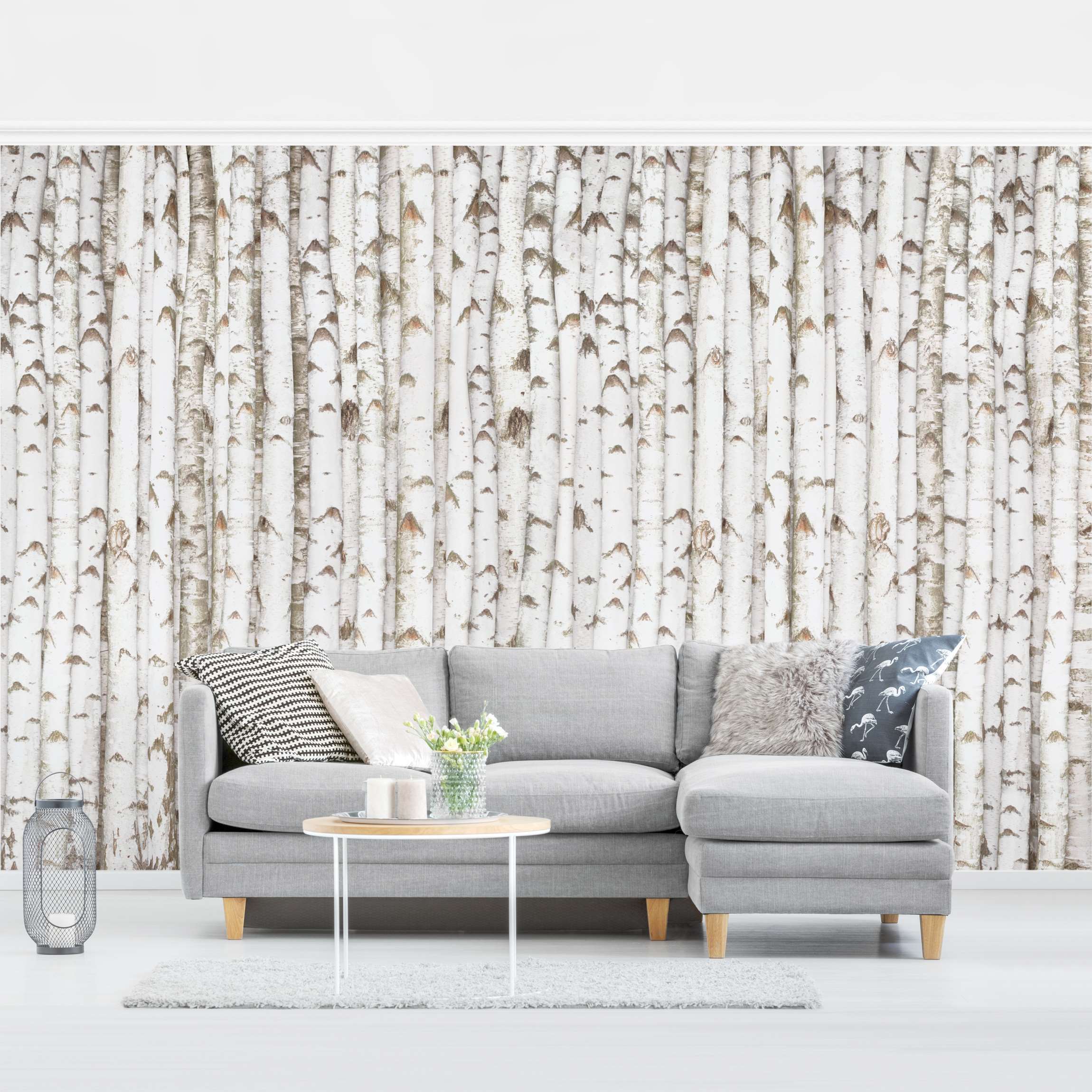 Fototapete No.YK15 Birkenwand