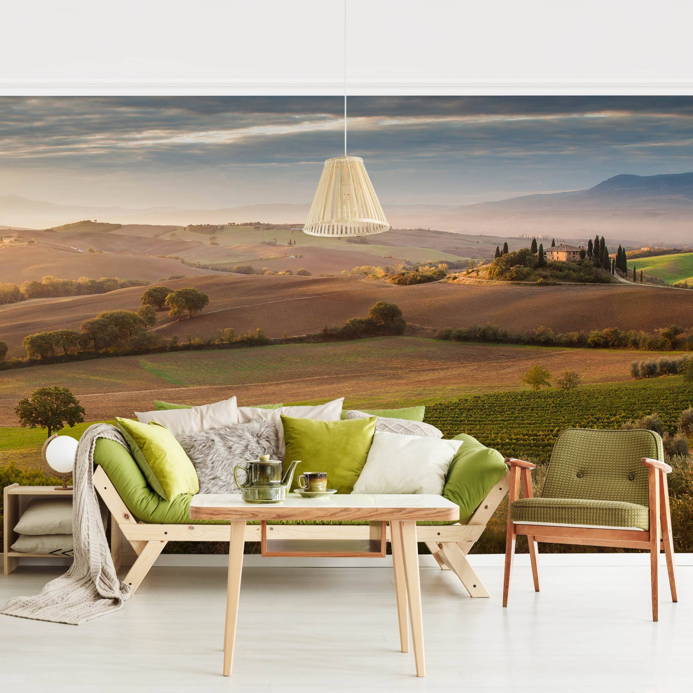 Fototapete Olivenhain in der Toskana