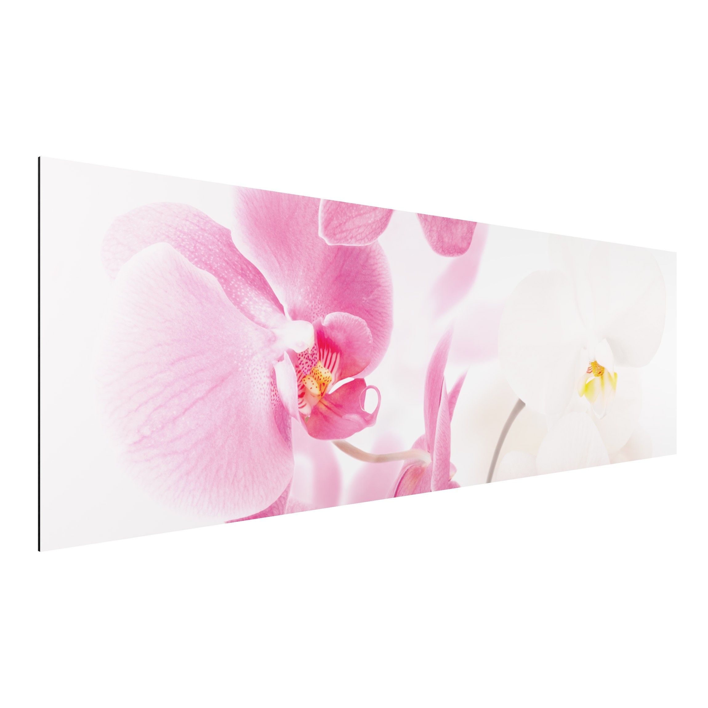 Alu-Dibond Outdoor Bild Delicate Orchids