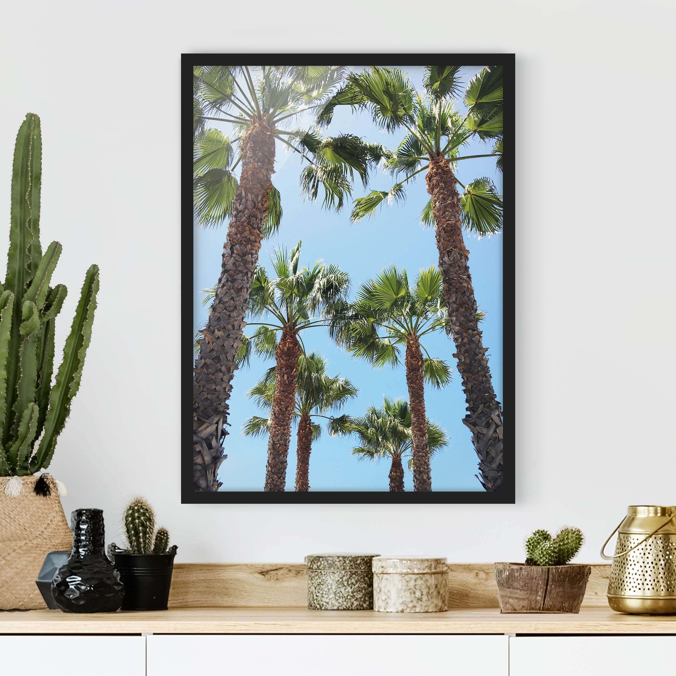 Bild mit Rahmen Palmen am Venice Beach