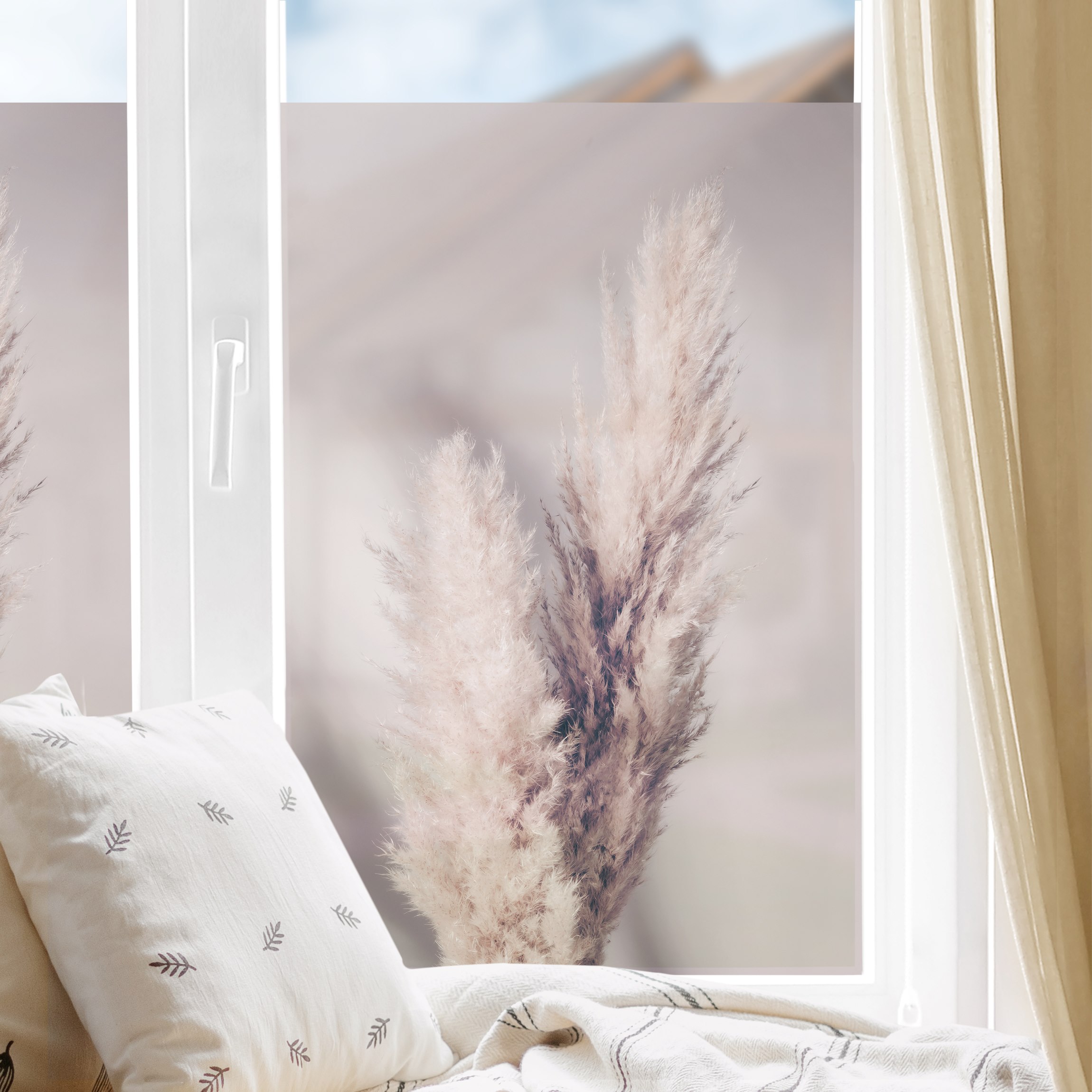 Fensterfolie Pampasgras im Studiolicht